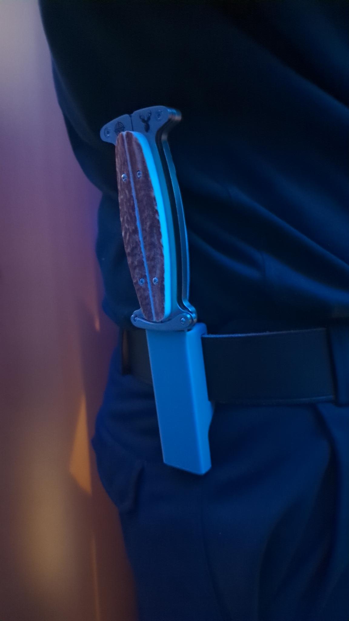 Taschenhirschfänger Scheide/Holster
