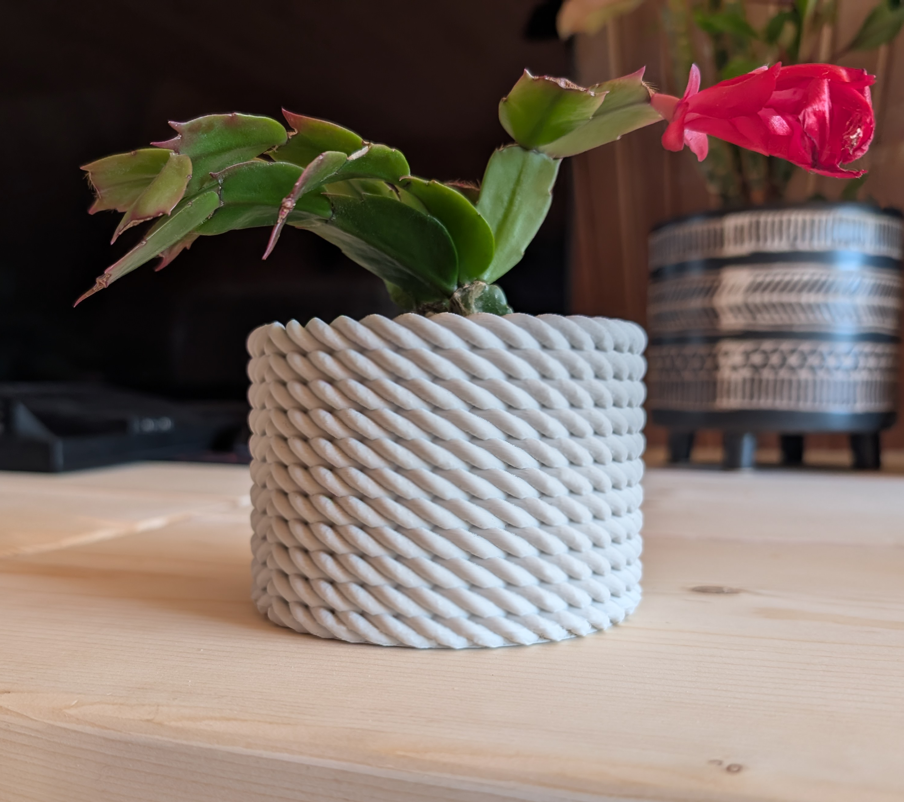 Miniatura 2 do modelo 3D Rope Planter