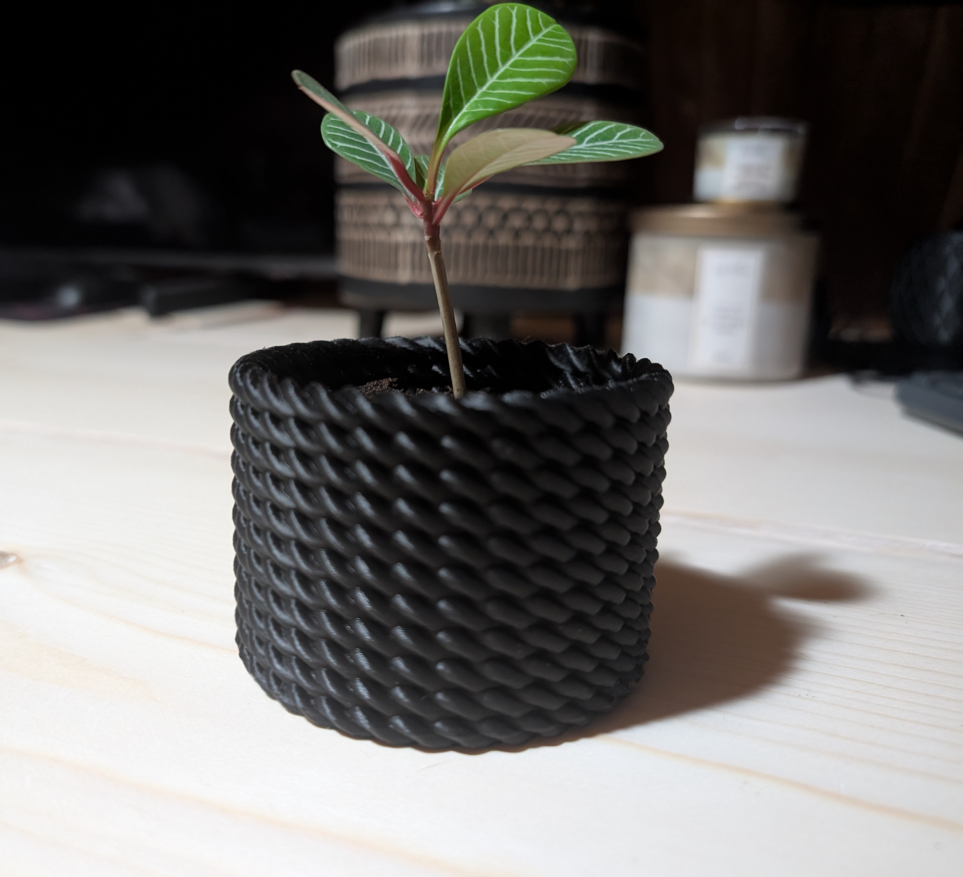 Miniatura 3 do modelo 3D Rope Planter