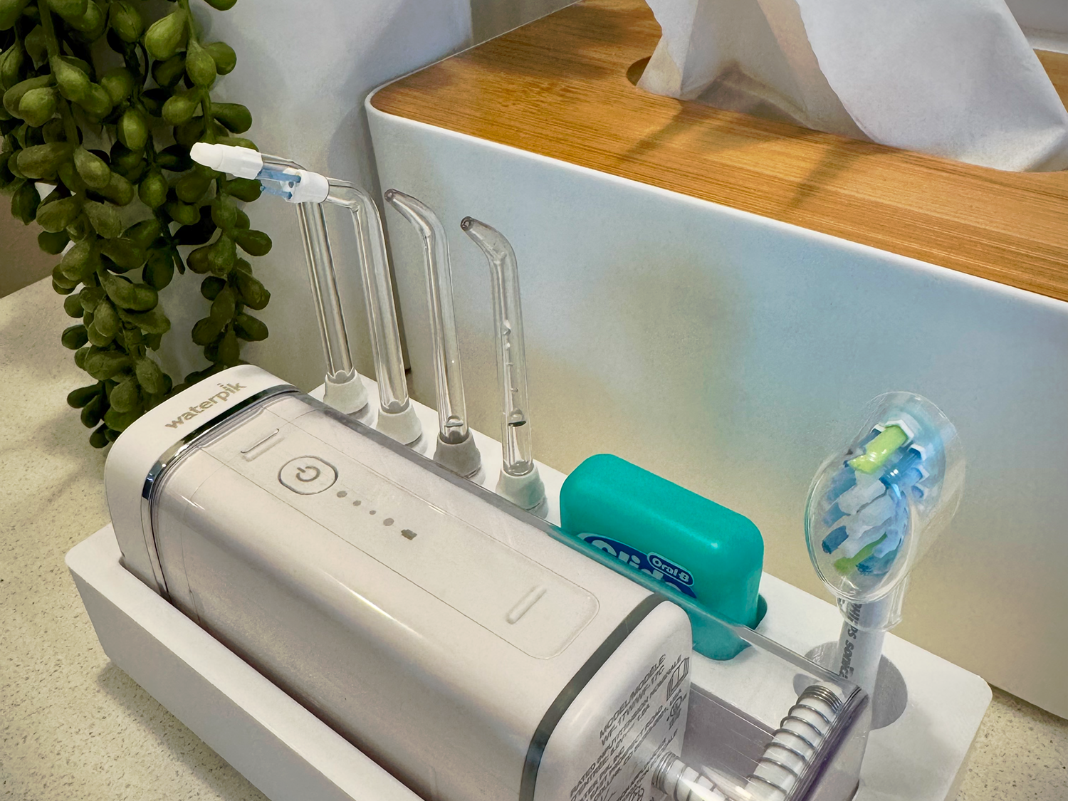 Gridfinity Dental Organizer