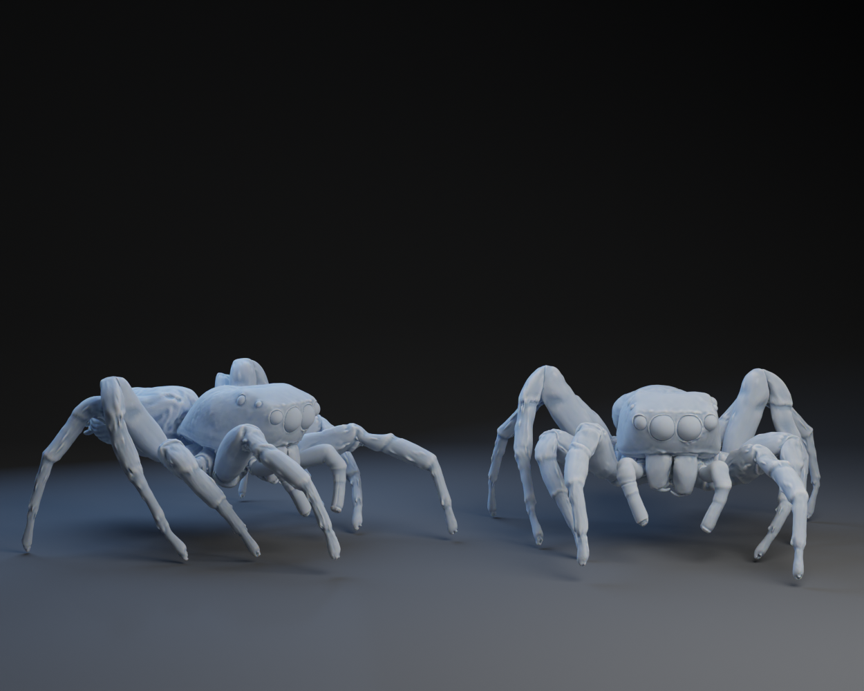 Jumping Spider