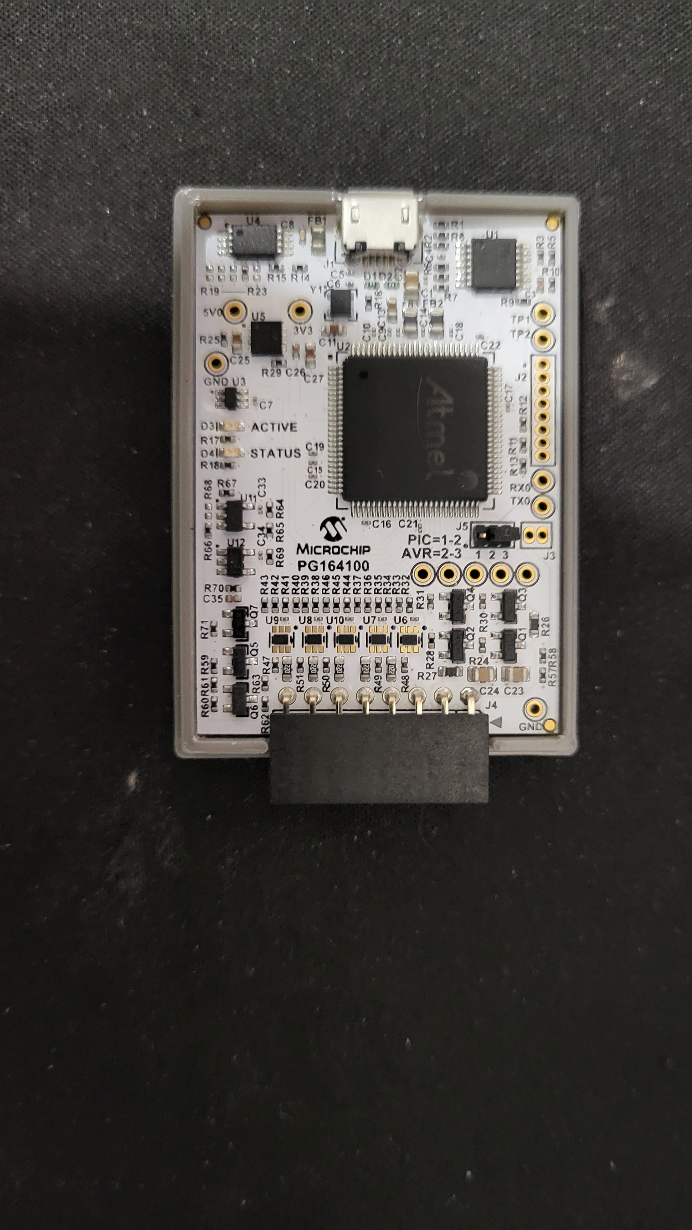 Microchip Snap Cover PG164100