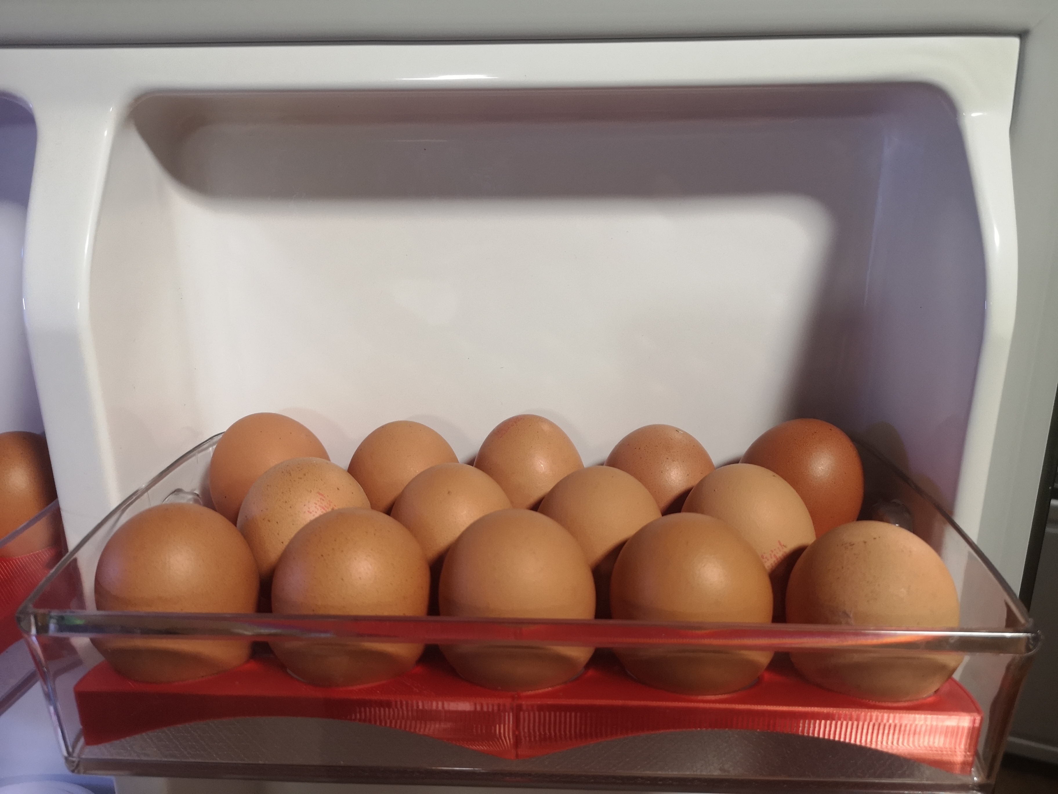 Eggholder — miniatura 2