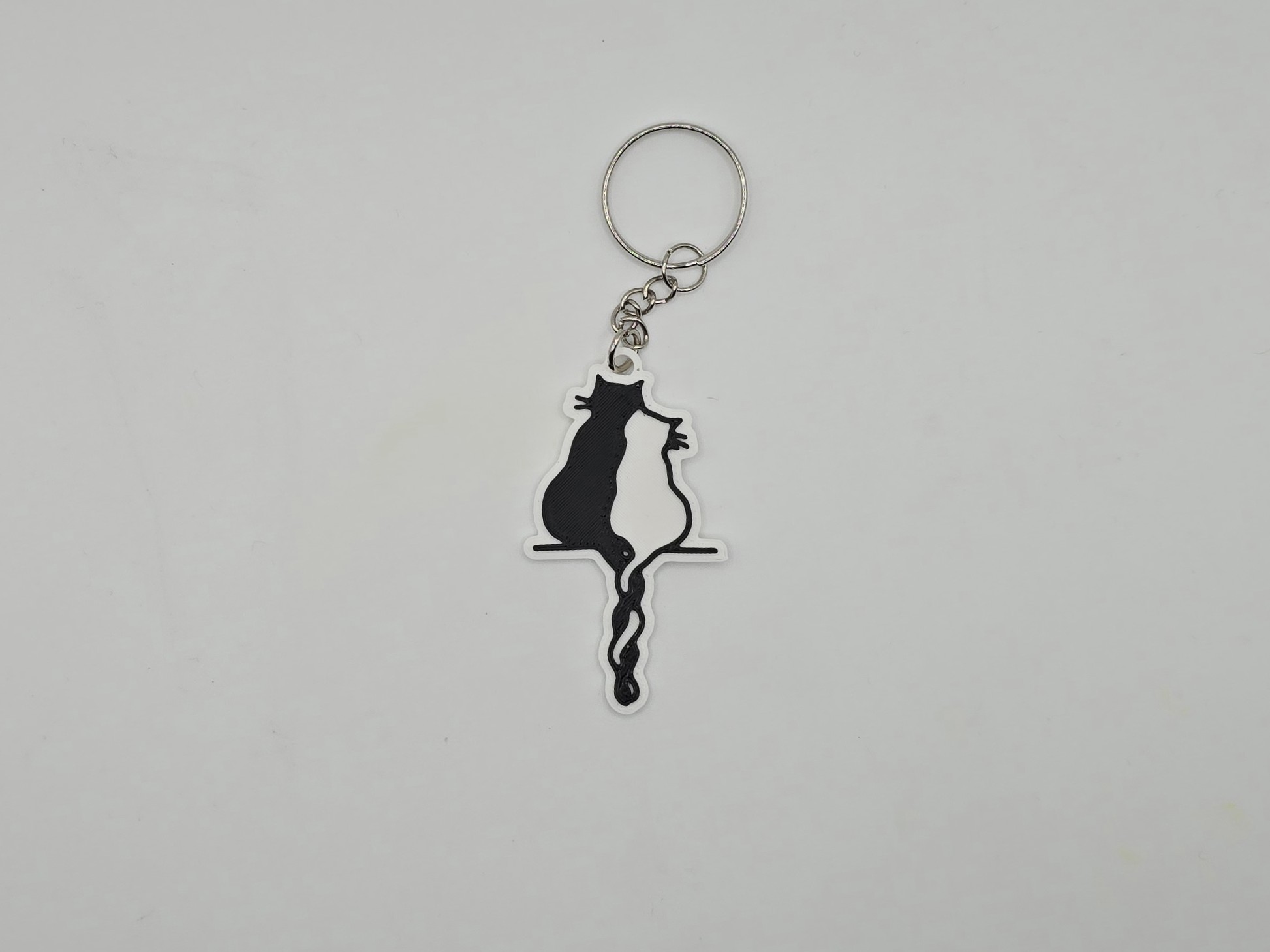 Cat Wall Art #9 Keychain (Remix)