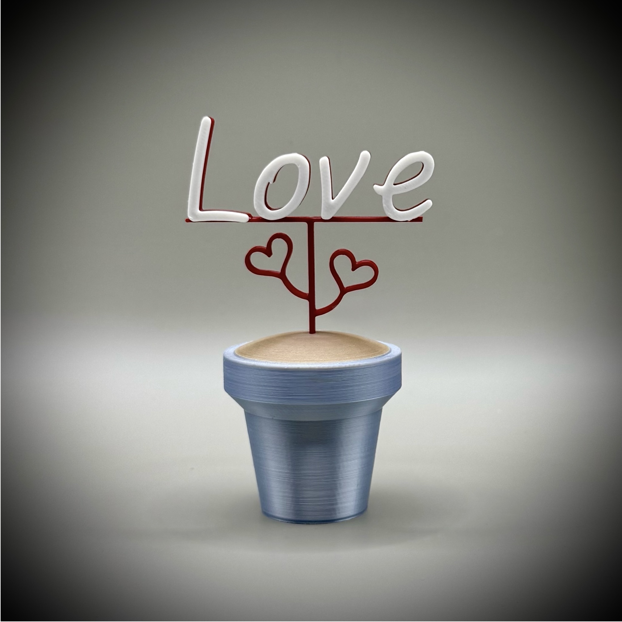 Love Pot Plant with Love Heart Leaves