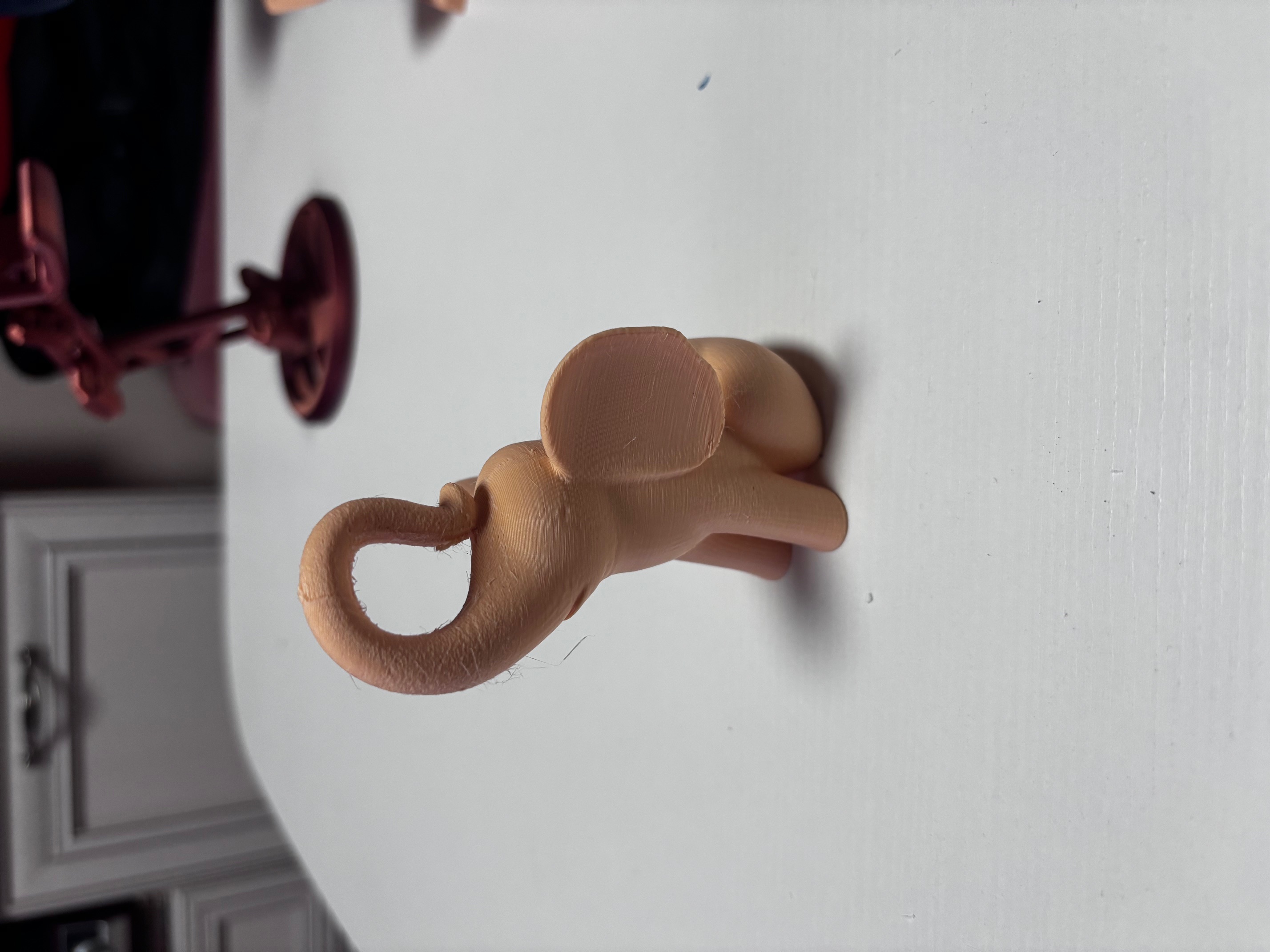 Cute elephant