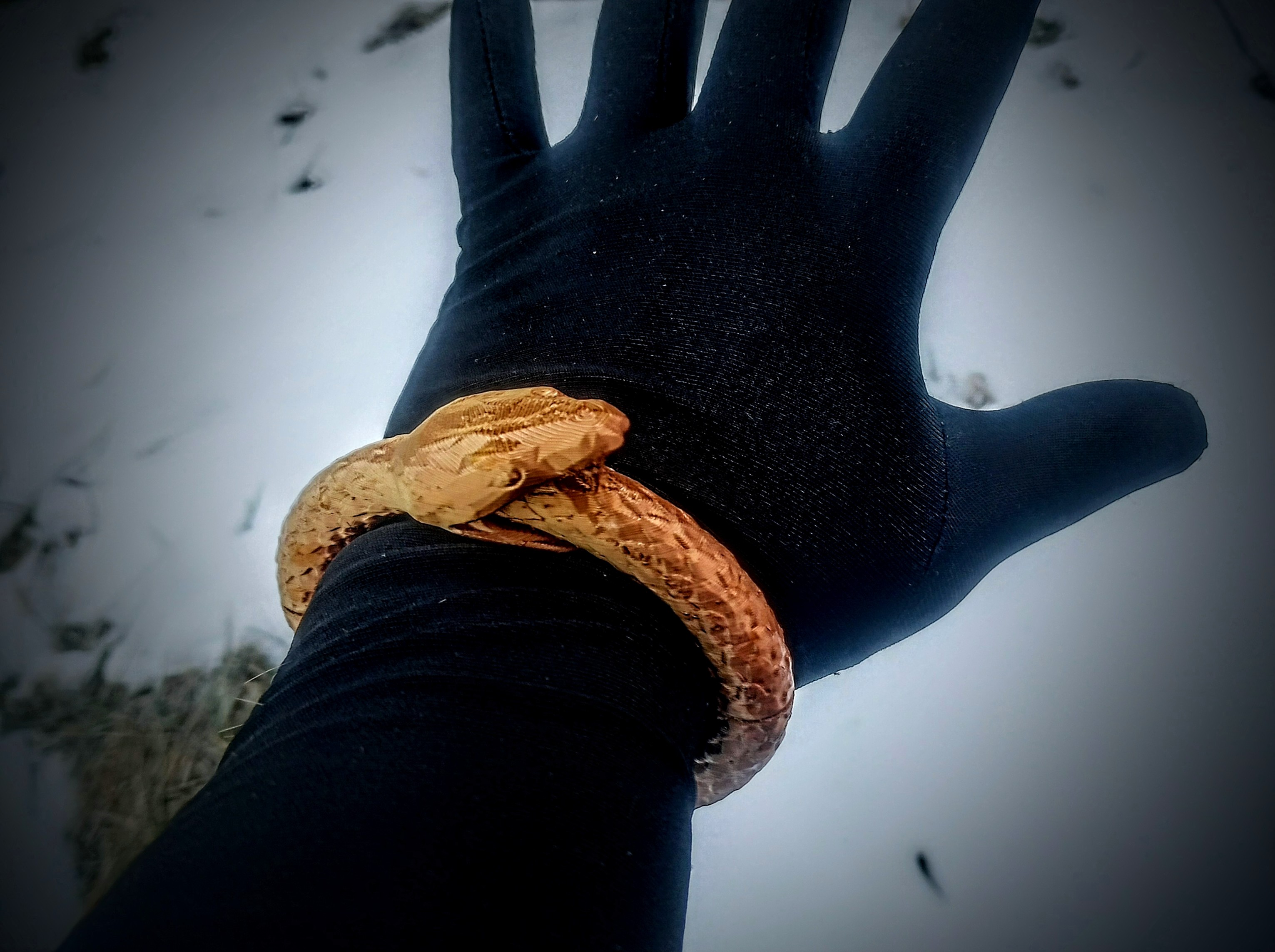 Ouroboros Mag-Bracelet