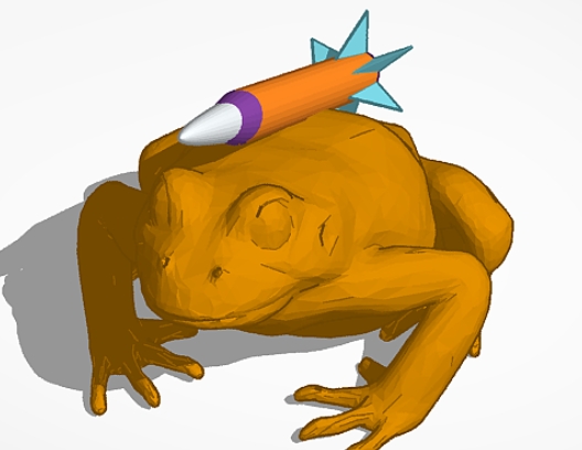 NASA's rocket frog meme.