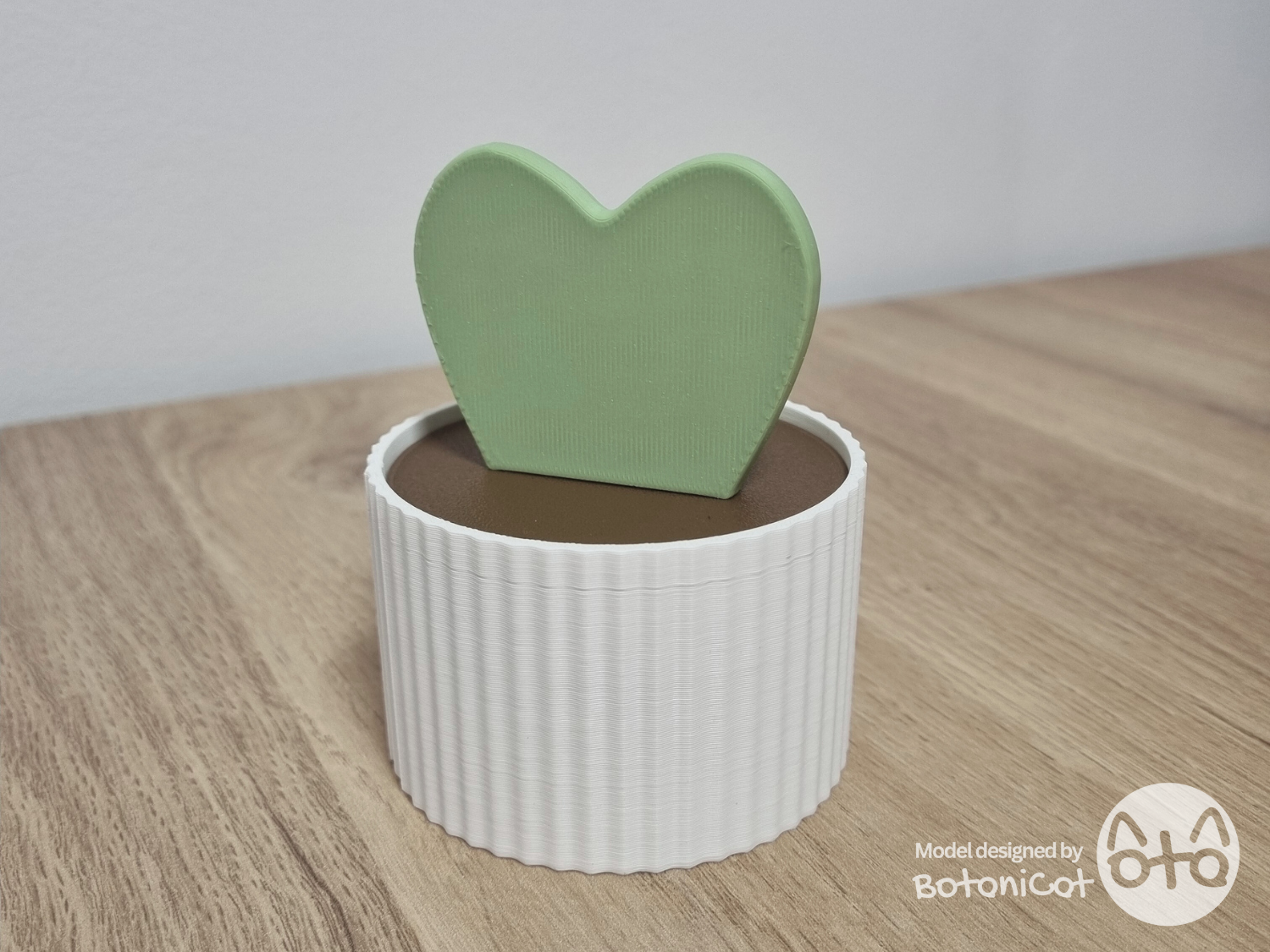 Succulents Box: Sweetheart Plant (Hoya Kerrii)