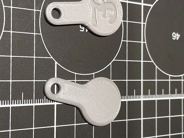 Trolley Token Pound