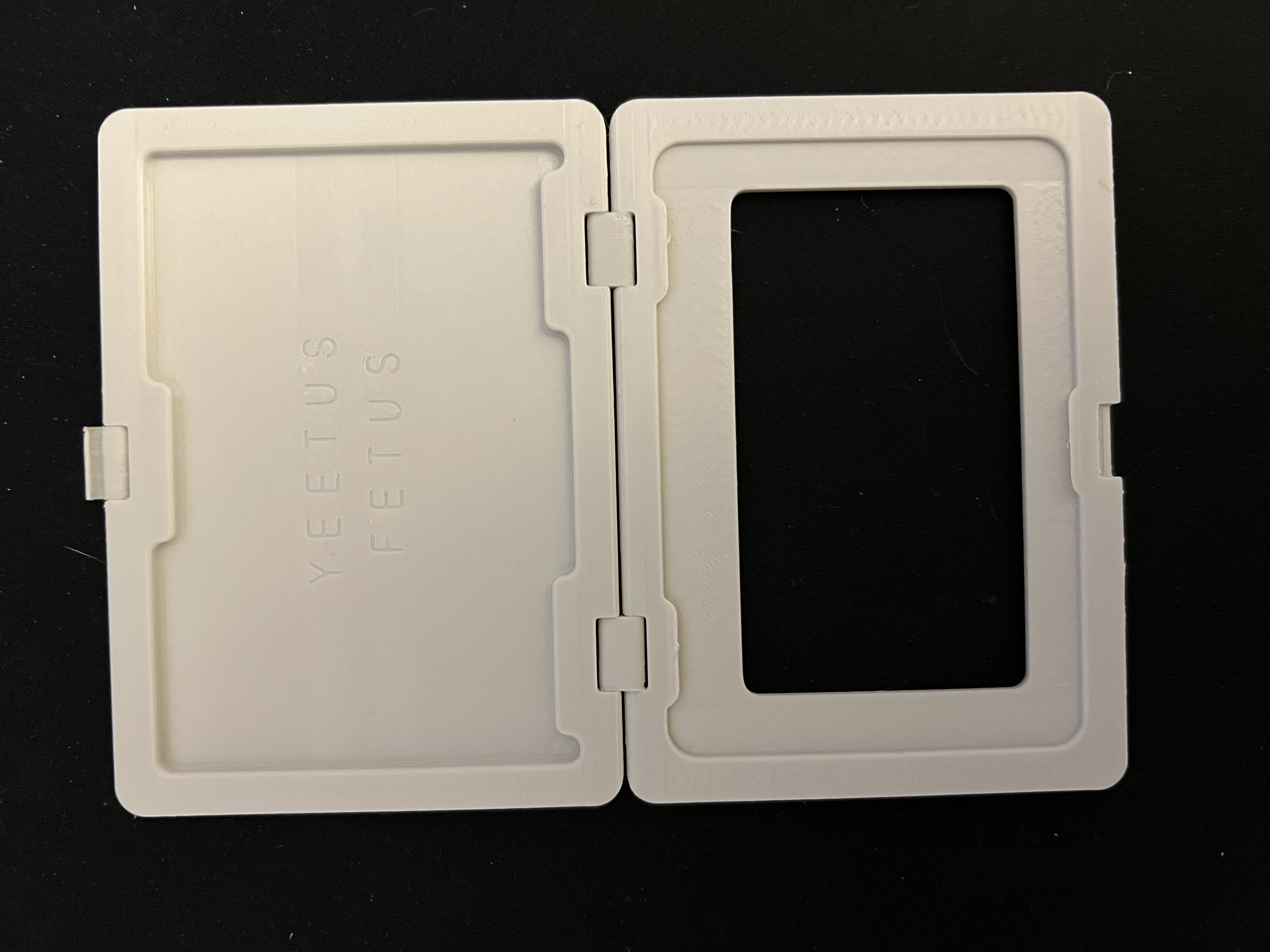Birth control case for Aviane Cartridges