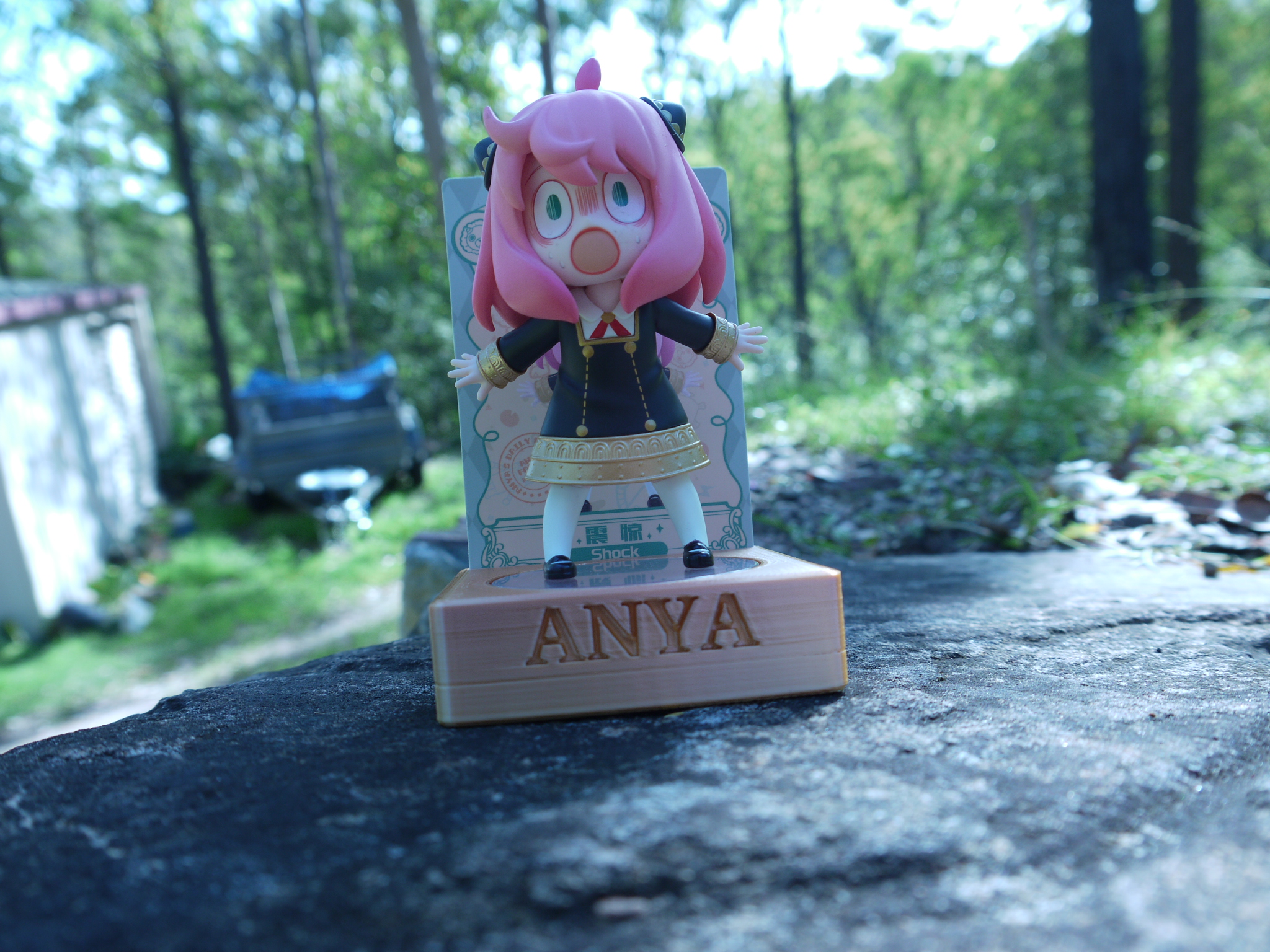 SpyxFamily Anya POPMART Figurine and Card Display/Holder