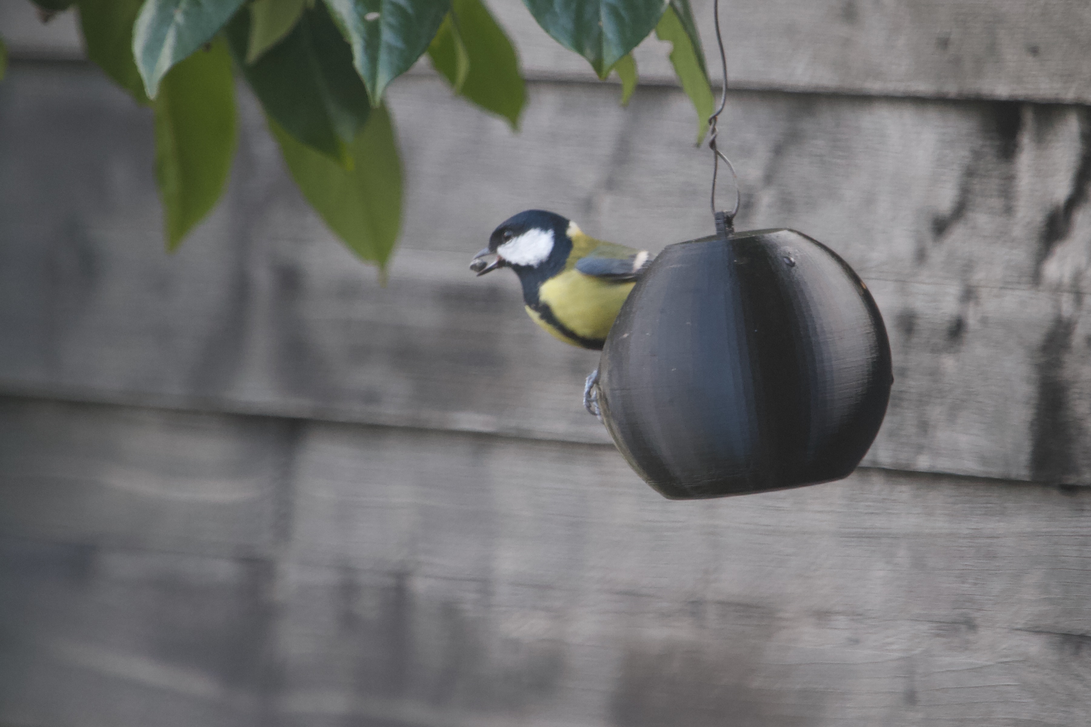 Bird feeder Sphere