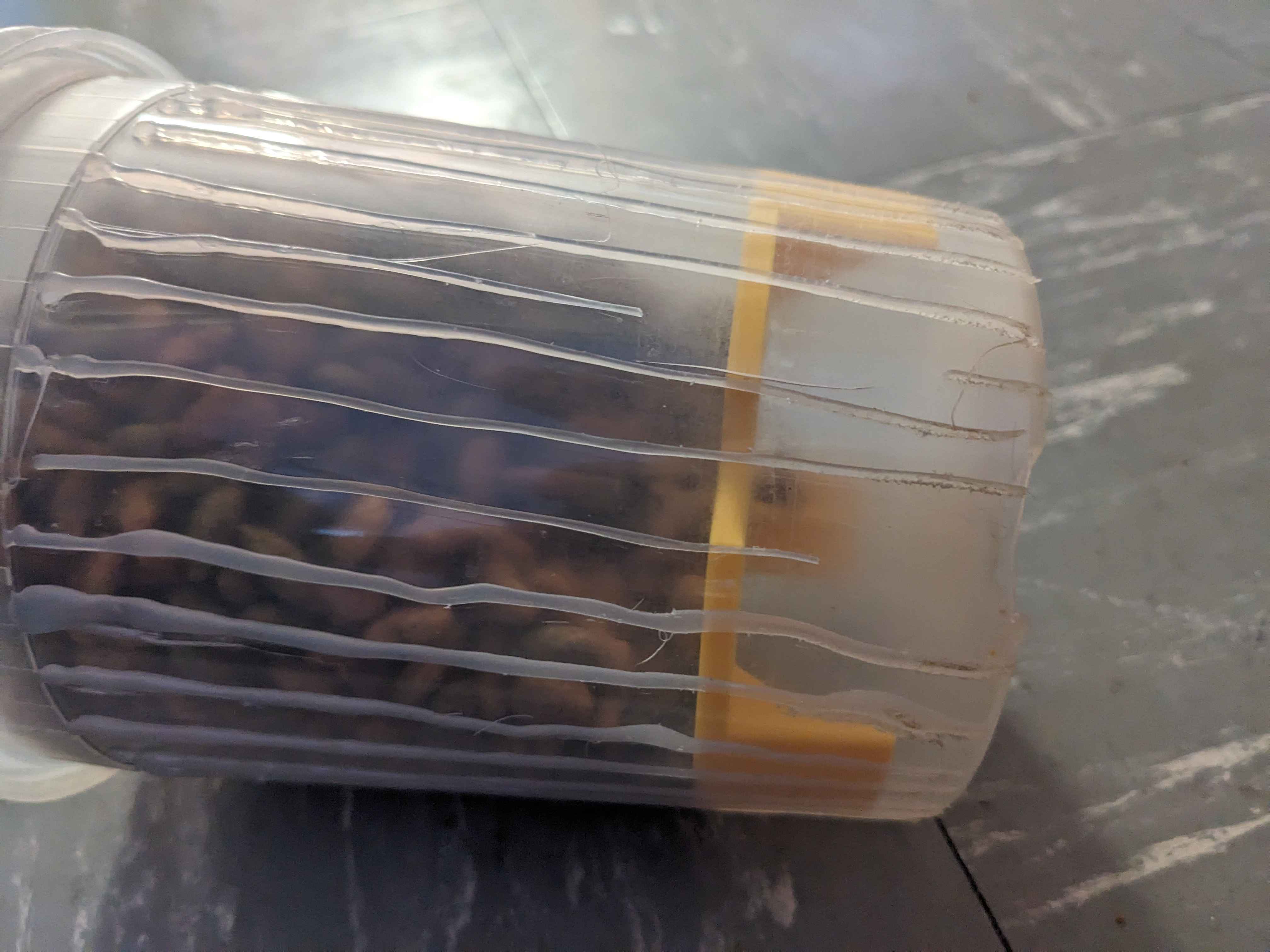 Cat slow feeder — thumbnail 5
