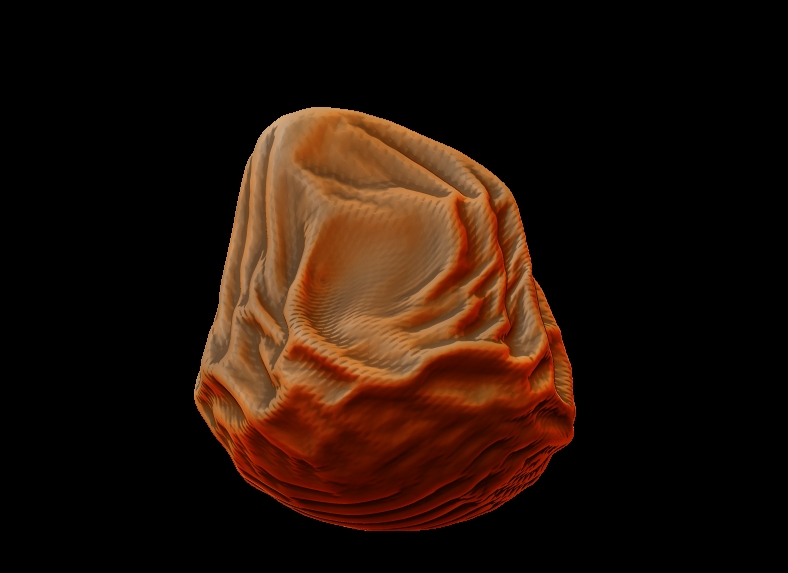 Bean Bag