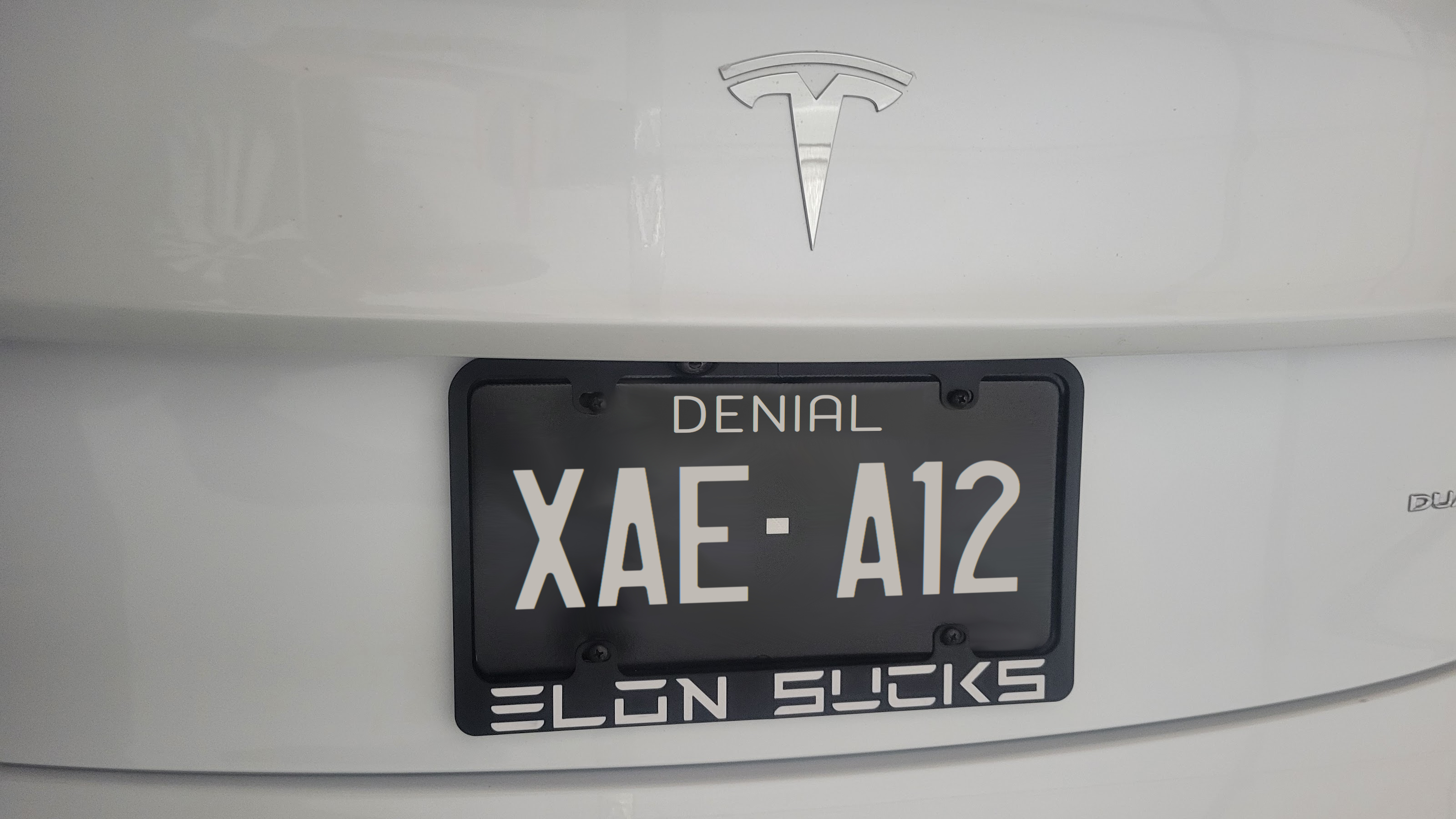 Elon Sucks License Plate Frame