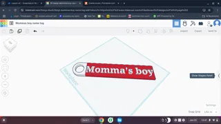 momma's boy V2