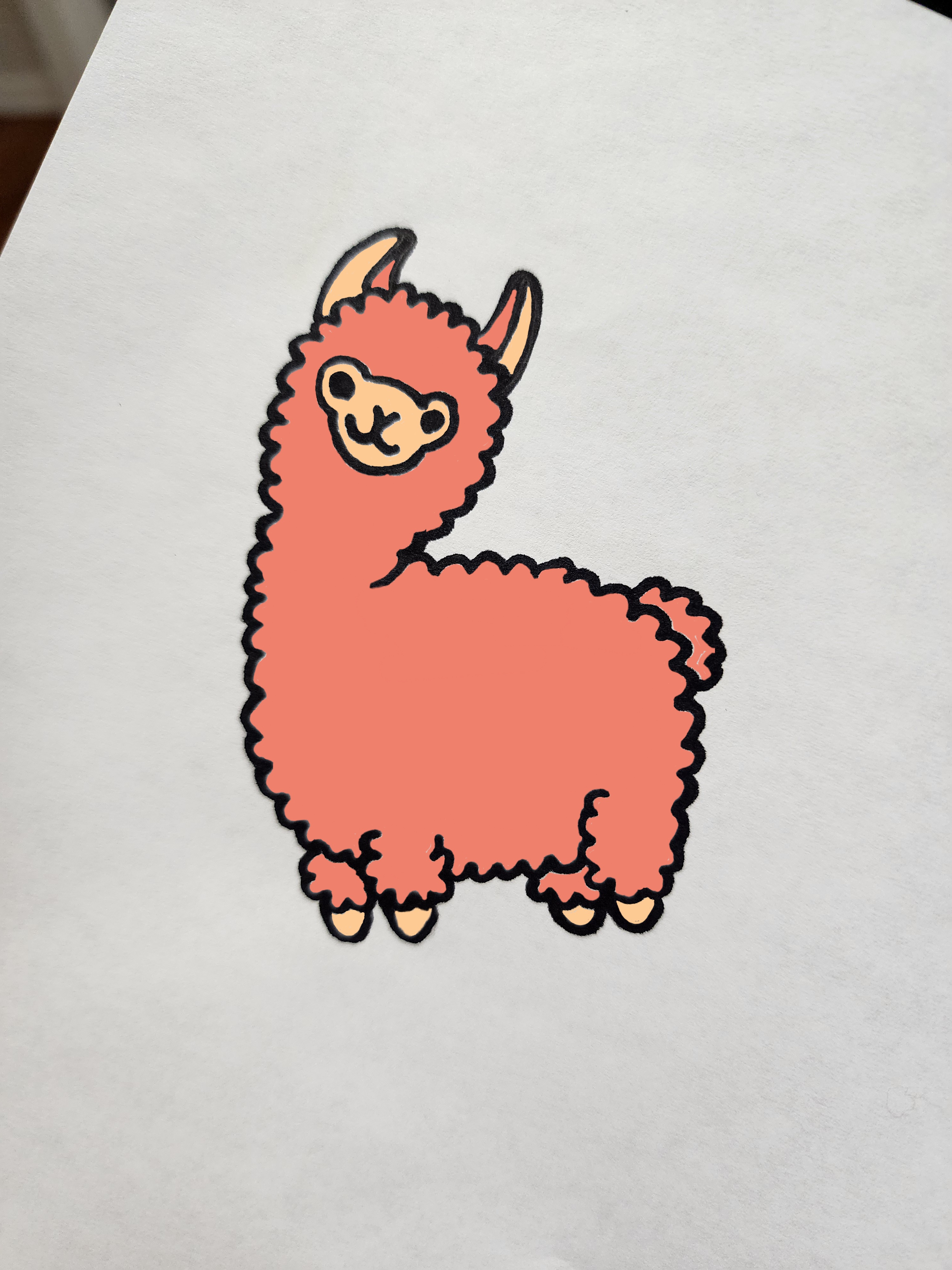 Curious Llama