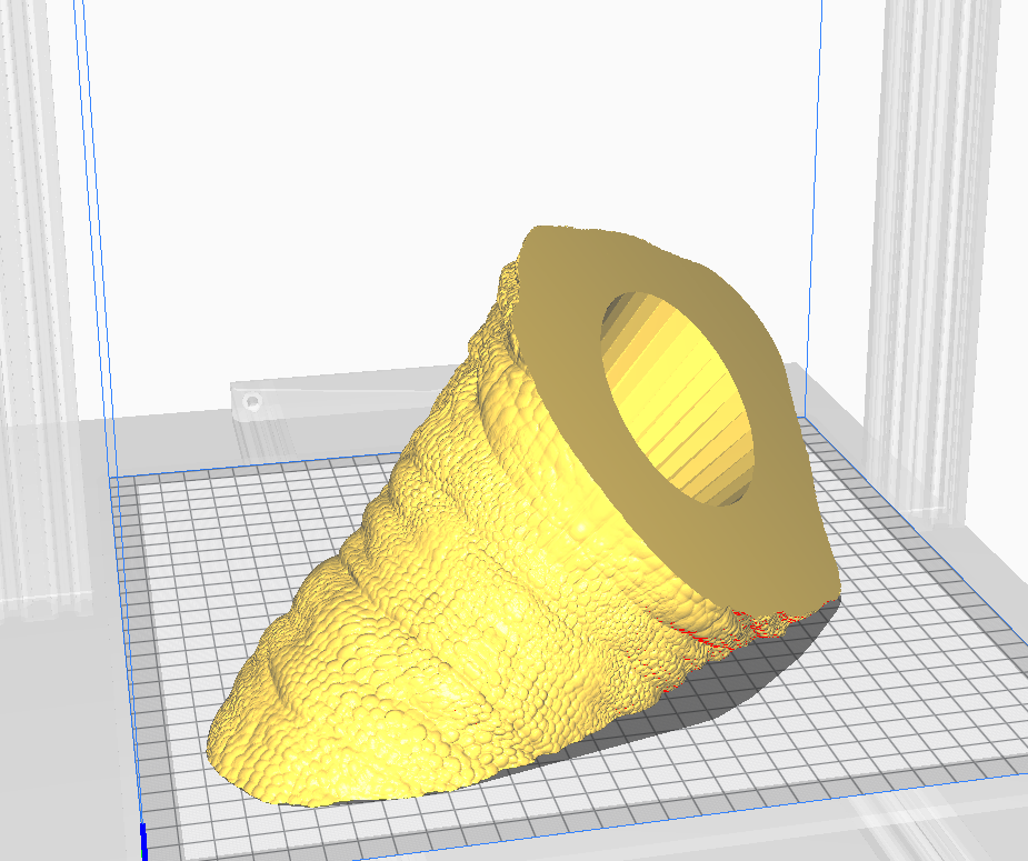 Albertosaurus Bust — thumbnail 6