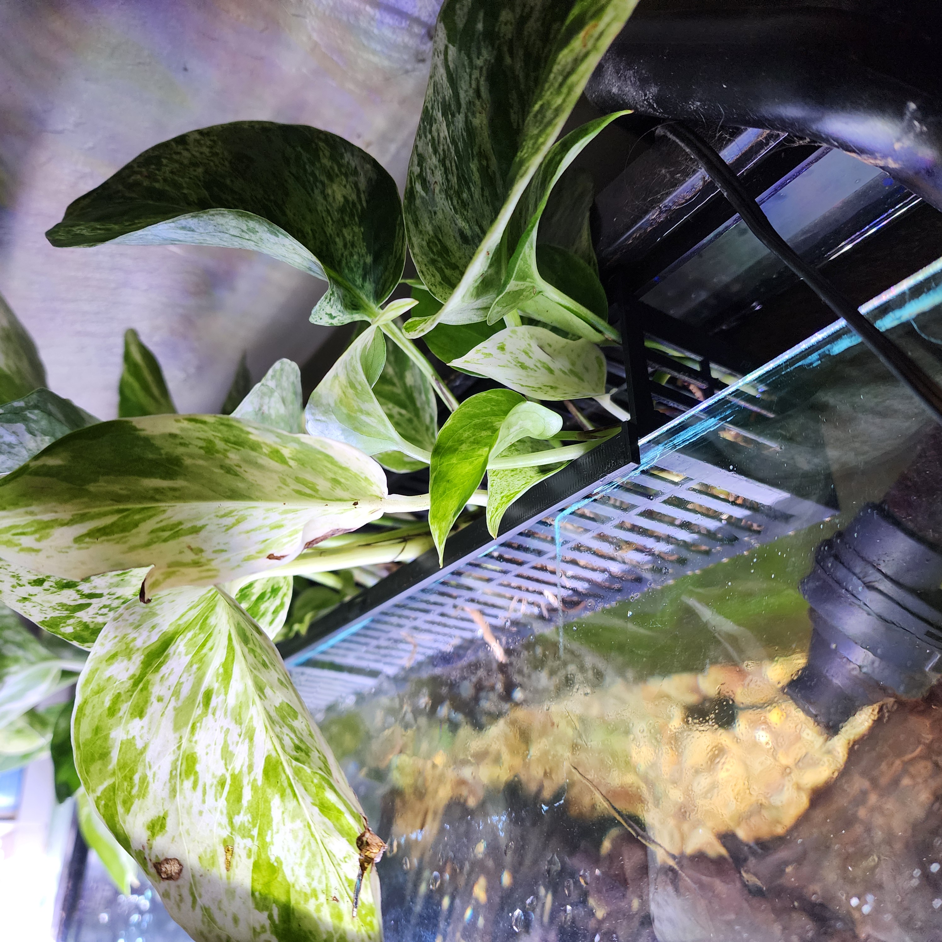 Miniatura 2 do modelo 3D aquarium planter
