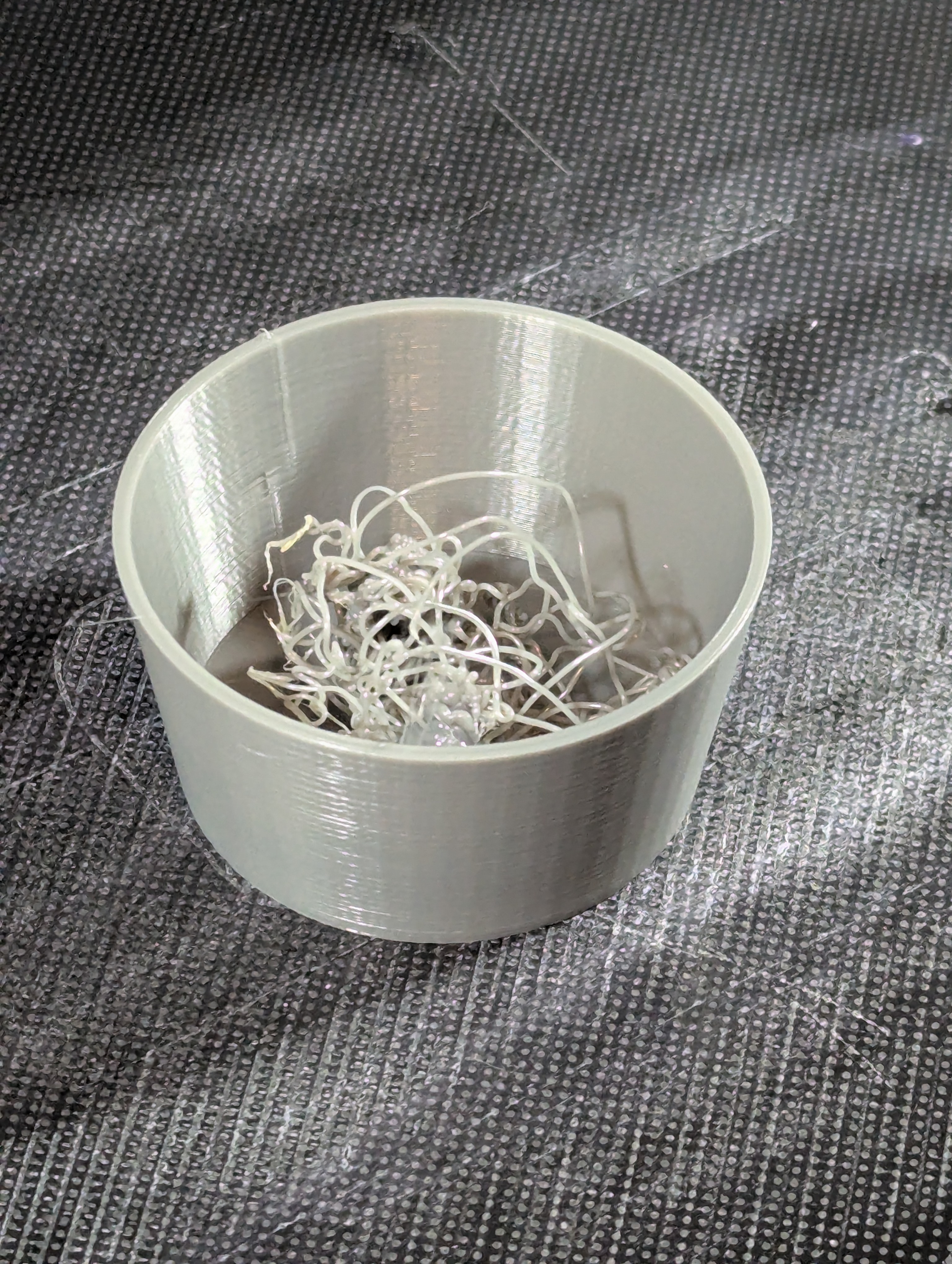 Bowl of PLA Noodles