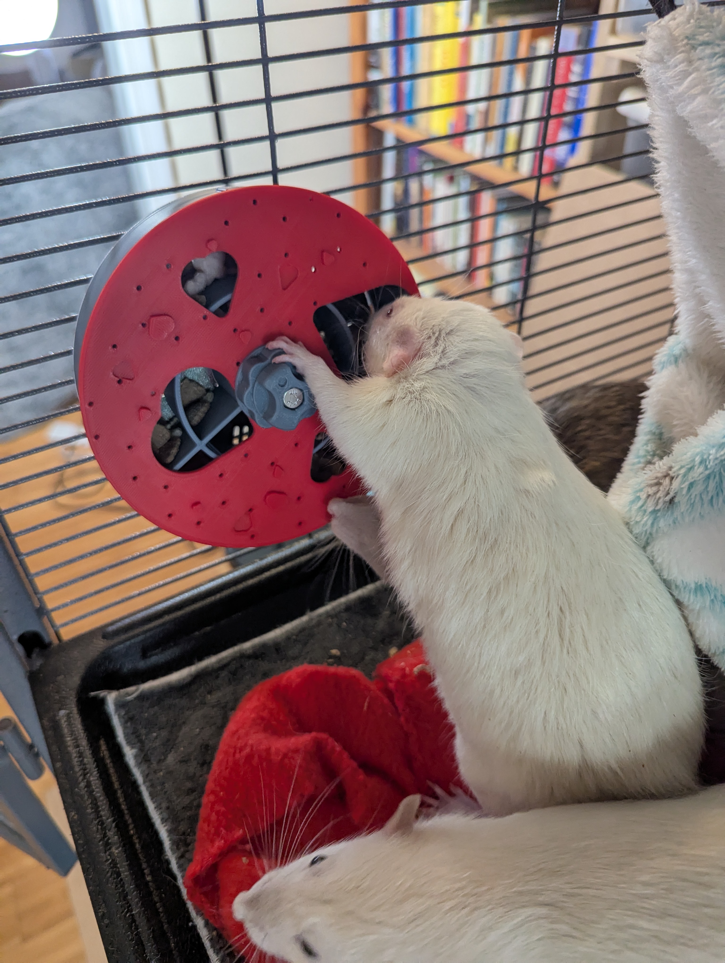 Ultimate Rat Foraging Wheel V2 - Compound Knob Modification - Replacement Parts