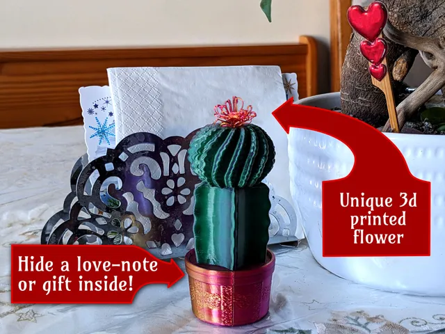 Valentines Cactus Gift Container