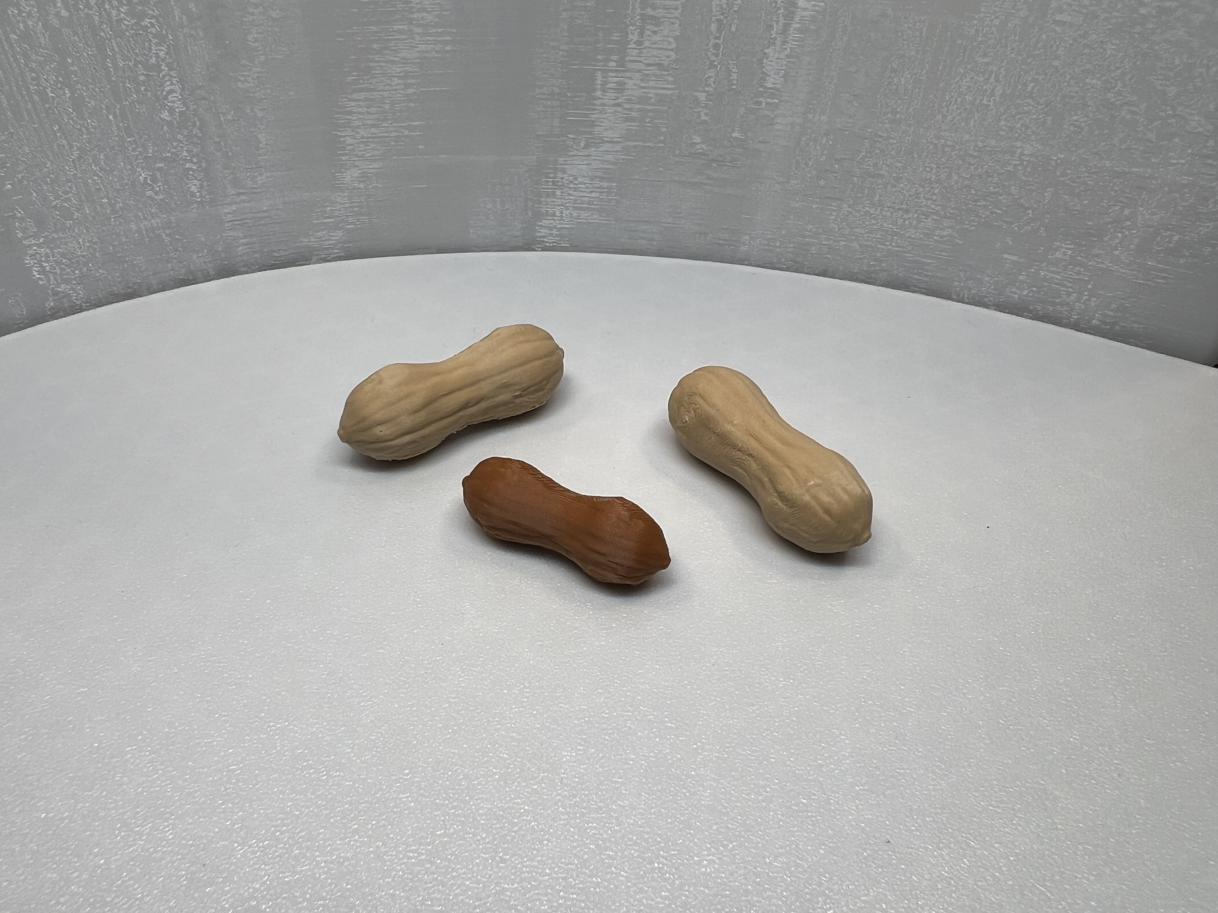 Realistic Whole Peanut