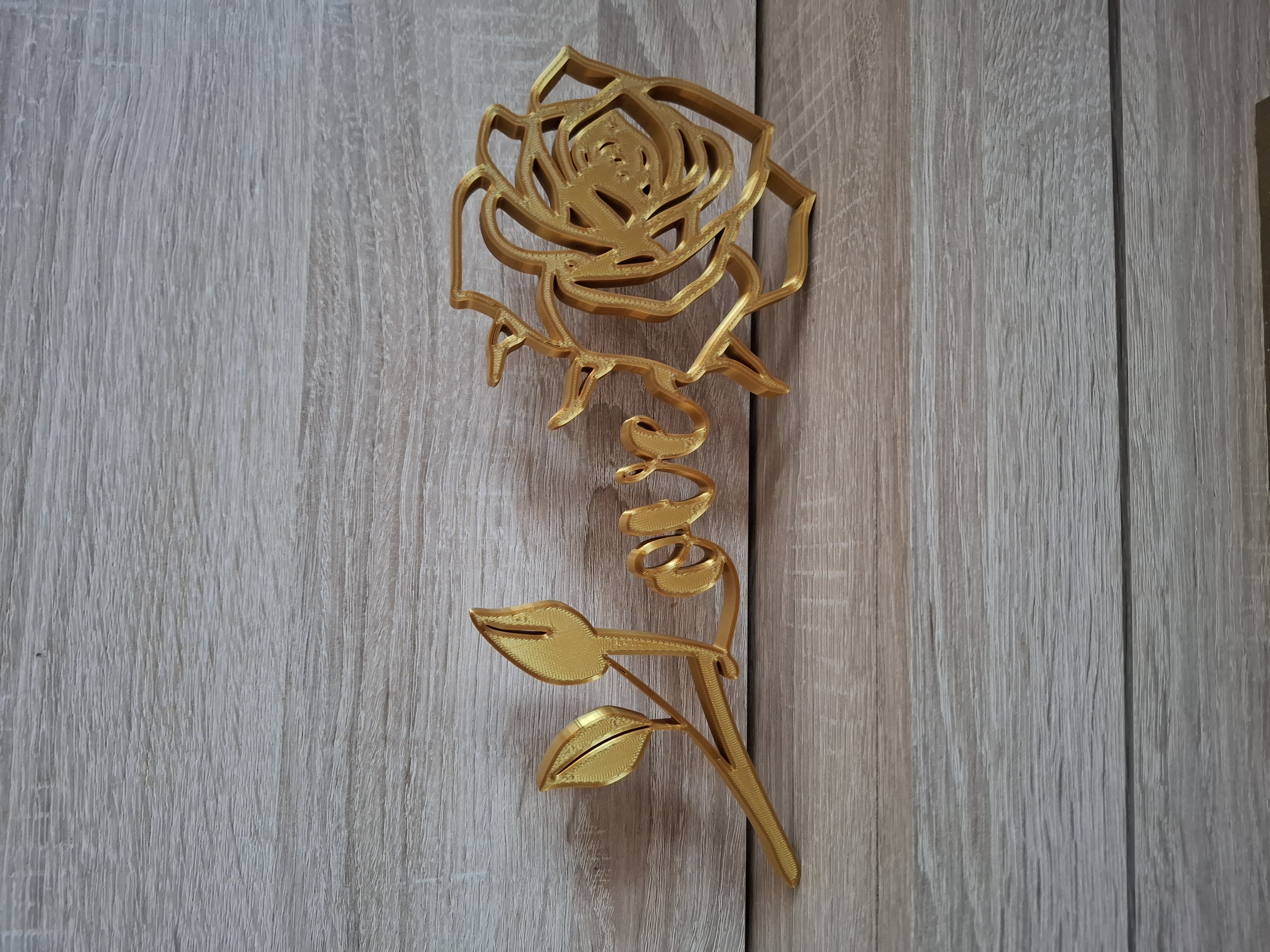 Rose Love Valentines Day