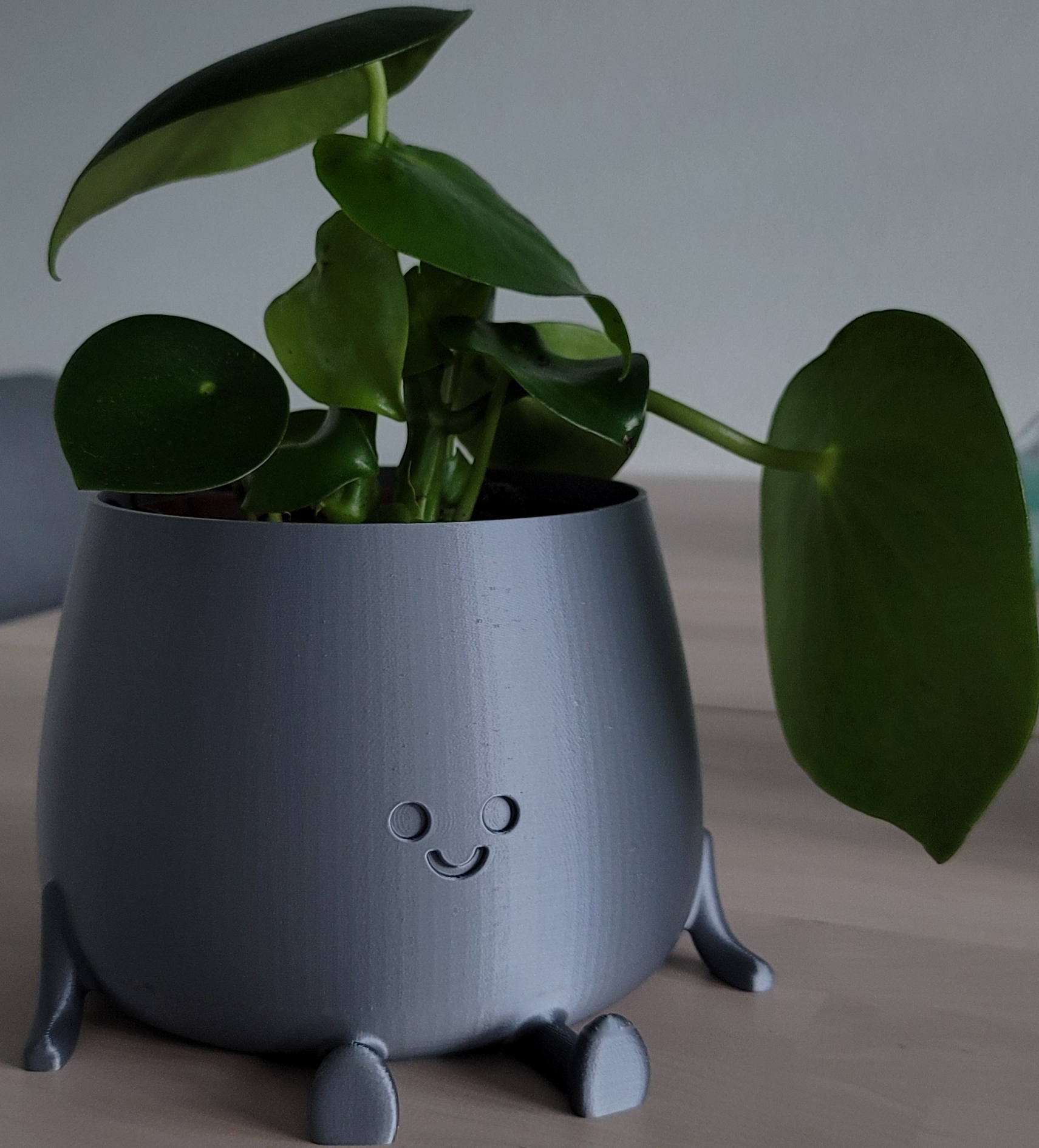 happy pot :) 3D model thumbnail