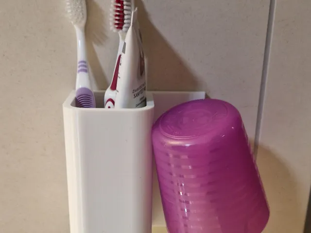 Toothbrush Holder Wall Mount