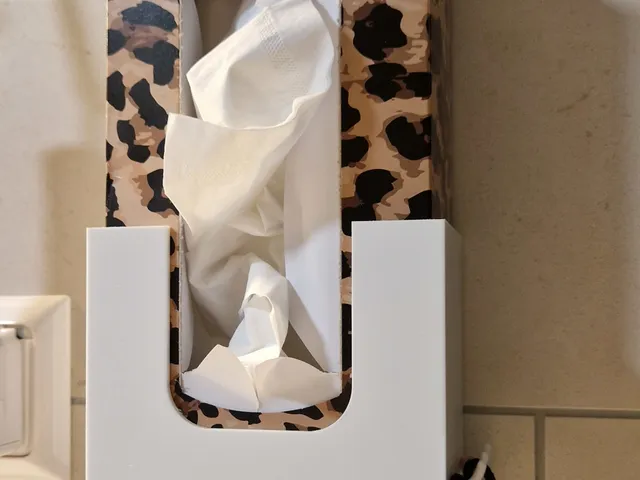 Tissue Box Holder Wall Mount with Hooks