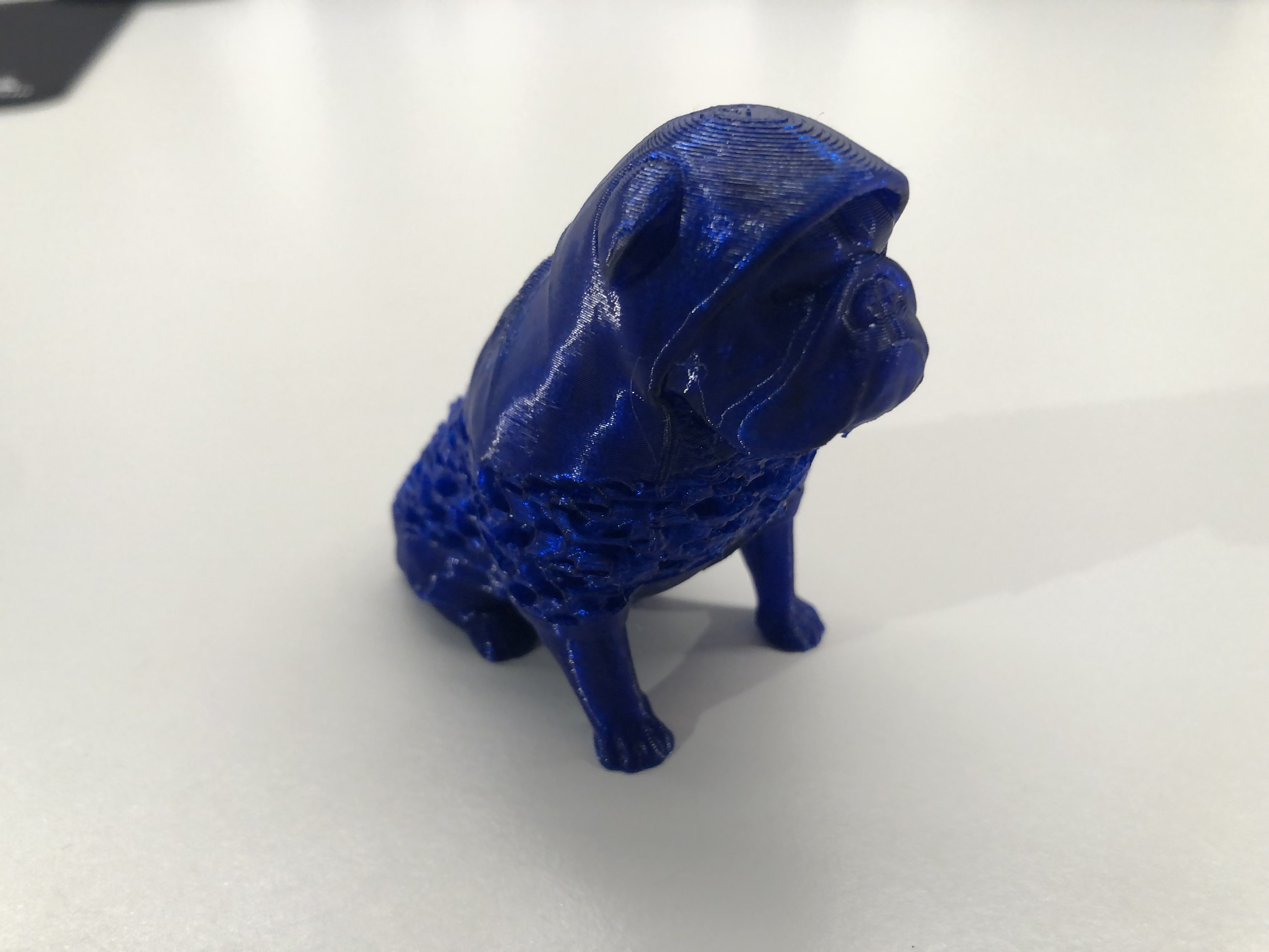 bulldog (modified)