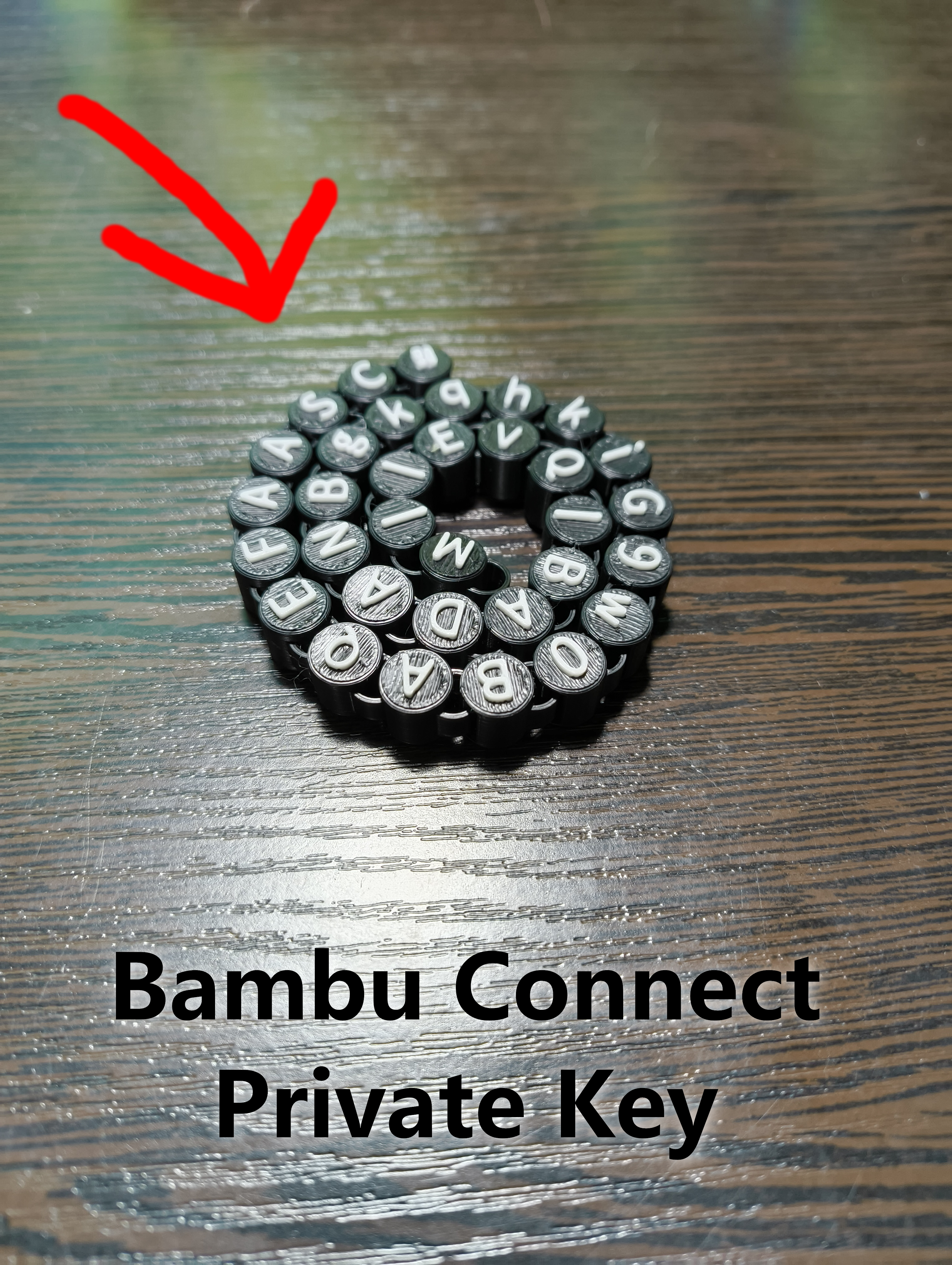 Bambu Connect Private Key Articulated Necklace/Fidget Toy