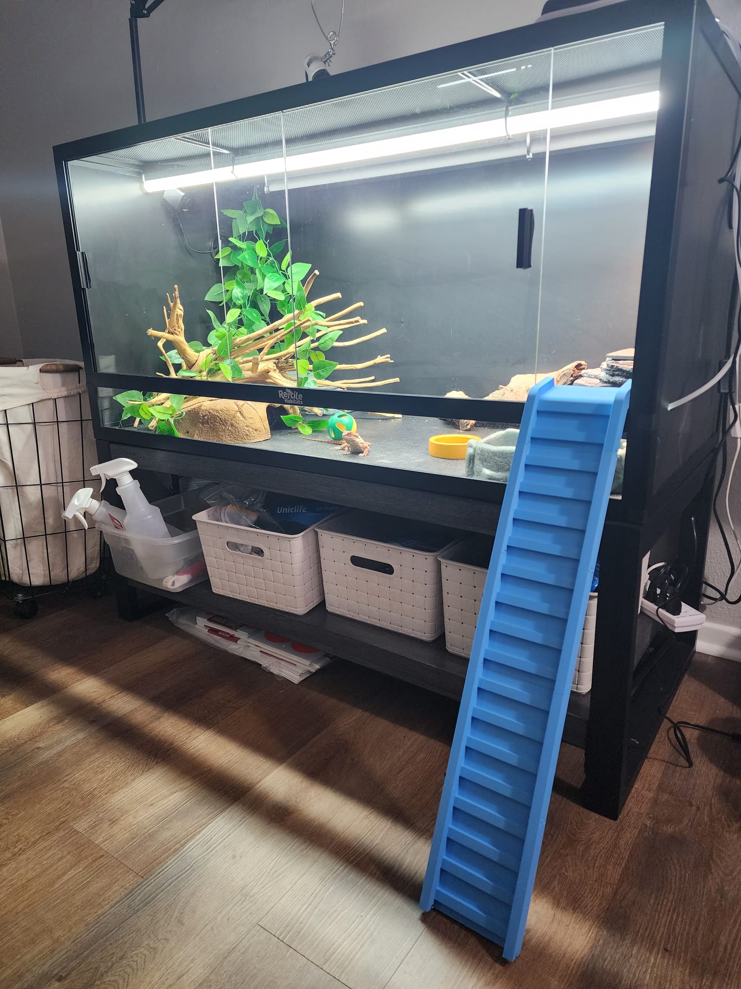 Reptile Ramp/Bridge