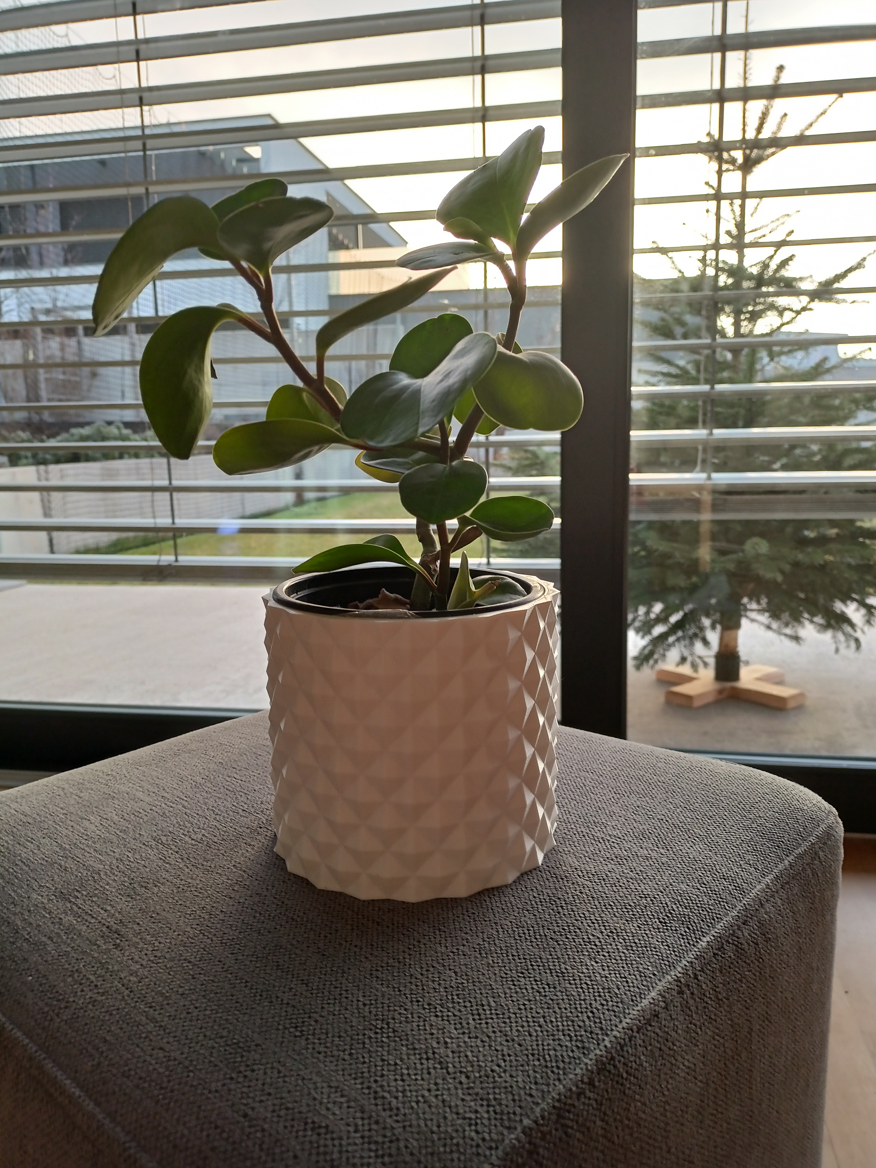 Flower pot