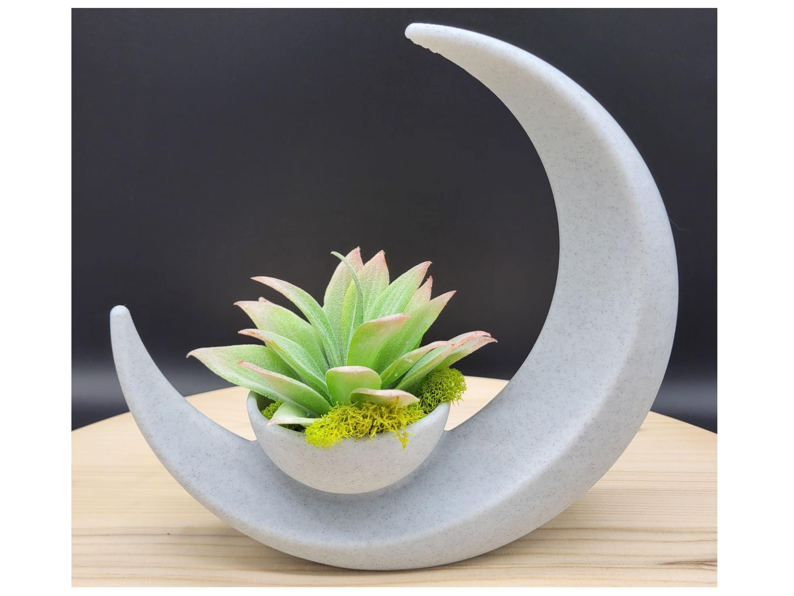 Crescent Moon Planter