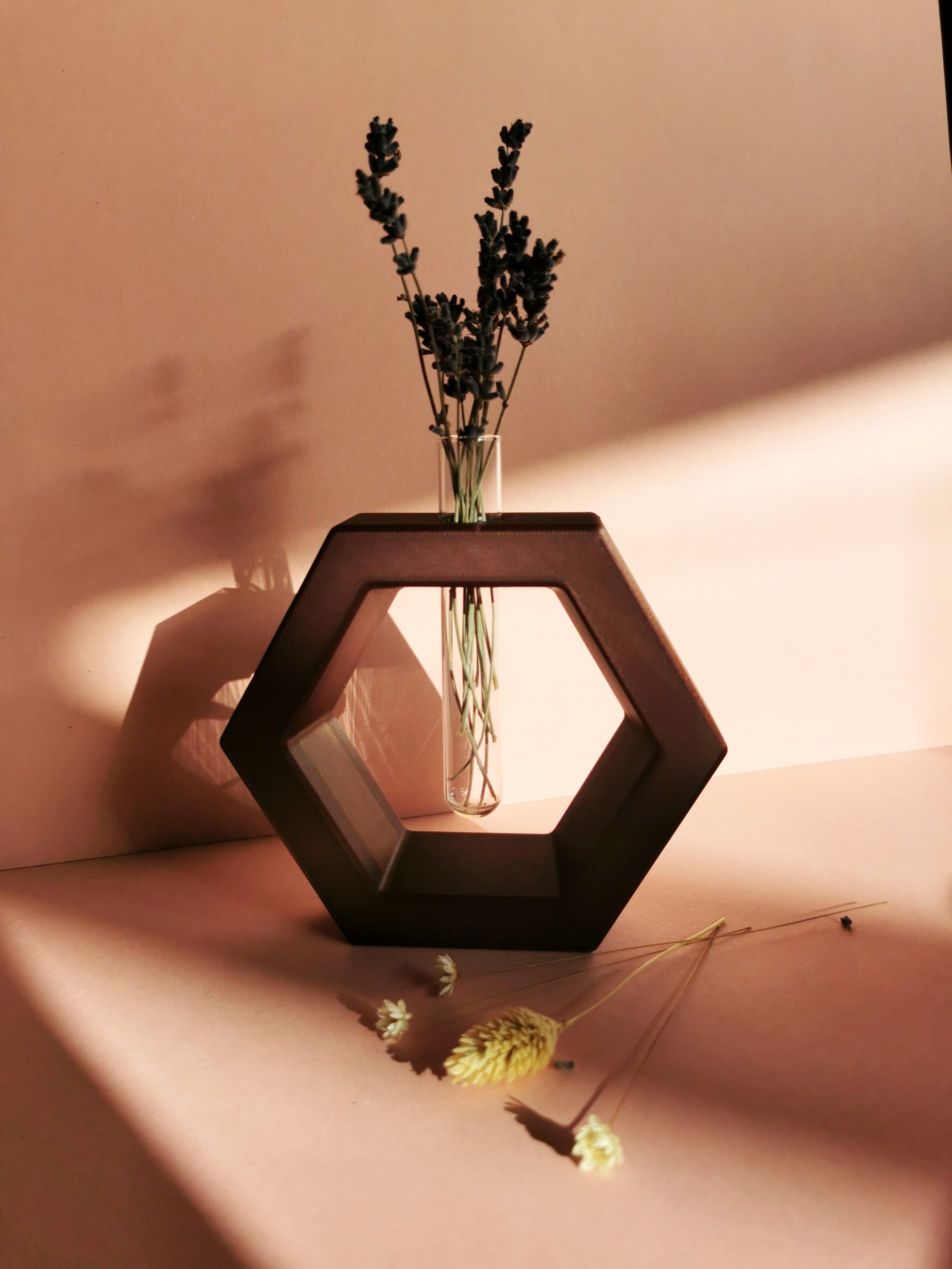 Hydroponic vase collection
