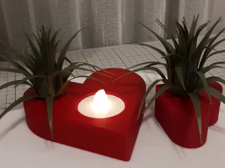 Valentine Hearts with Air Plant