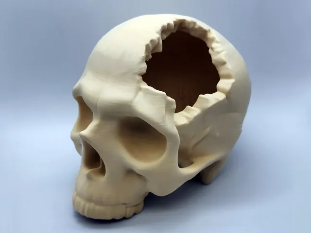 Major Headache Skull