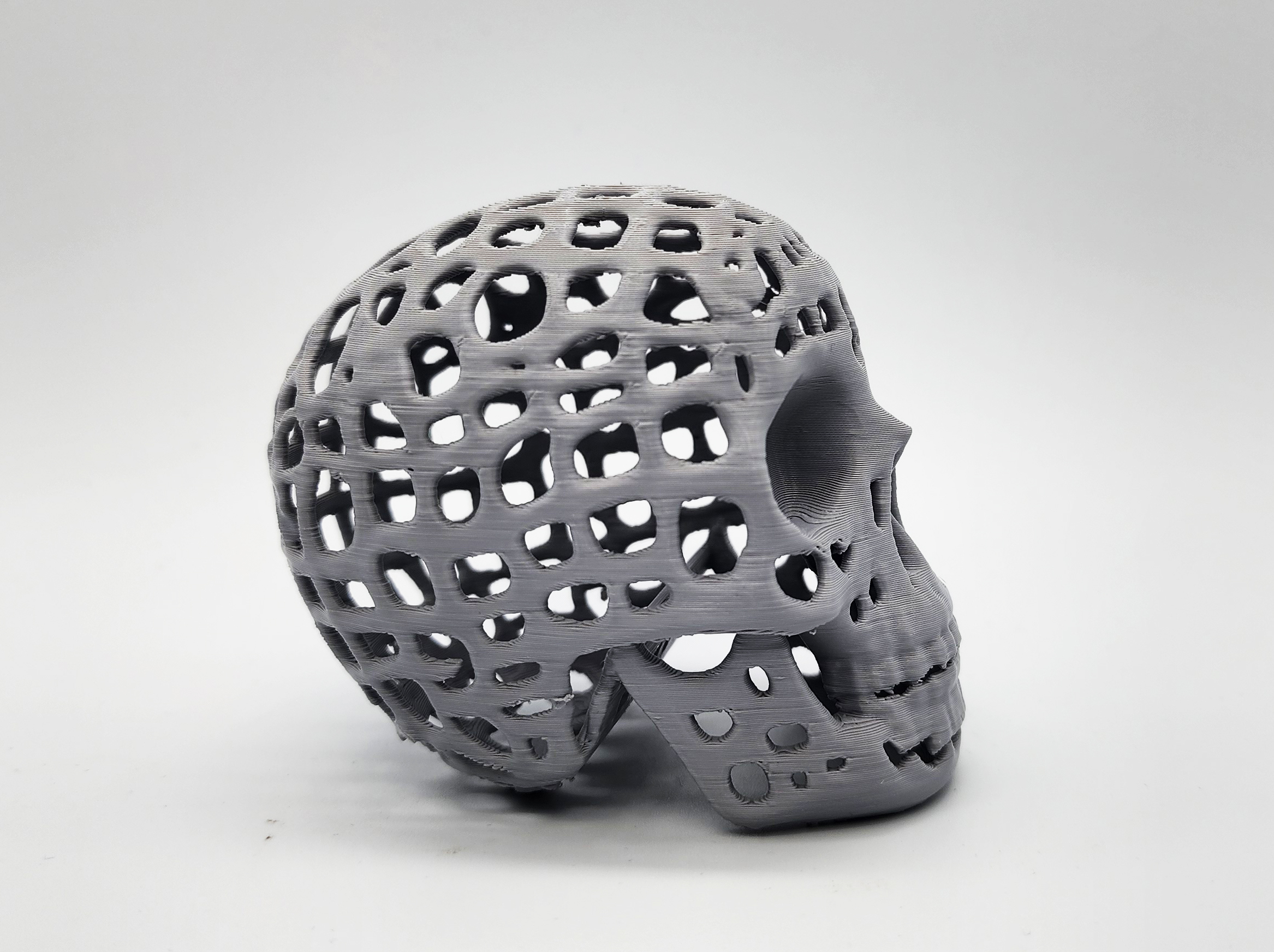 Mind is a Jail Skull