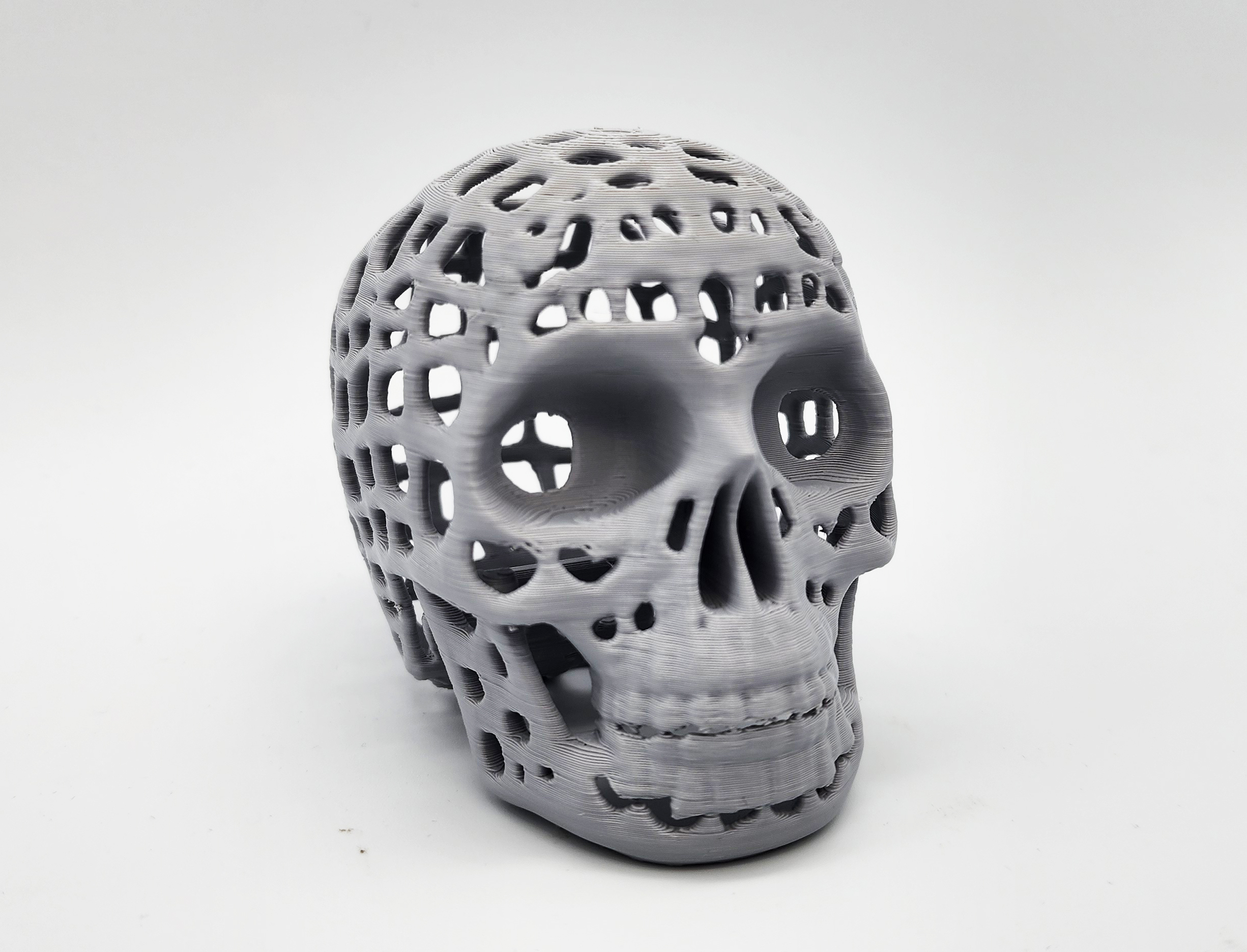 Mind is a Jail Skull by Triple G Workshop Download free STL model