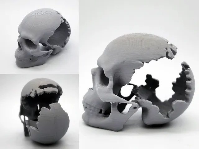 Gouged-Out Skull