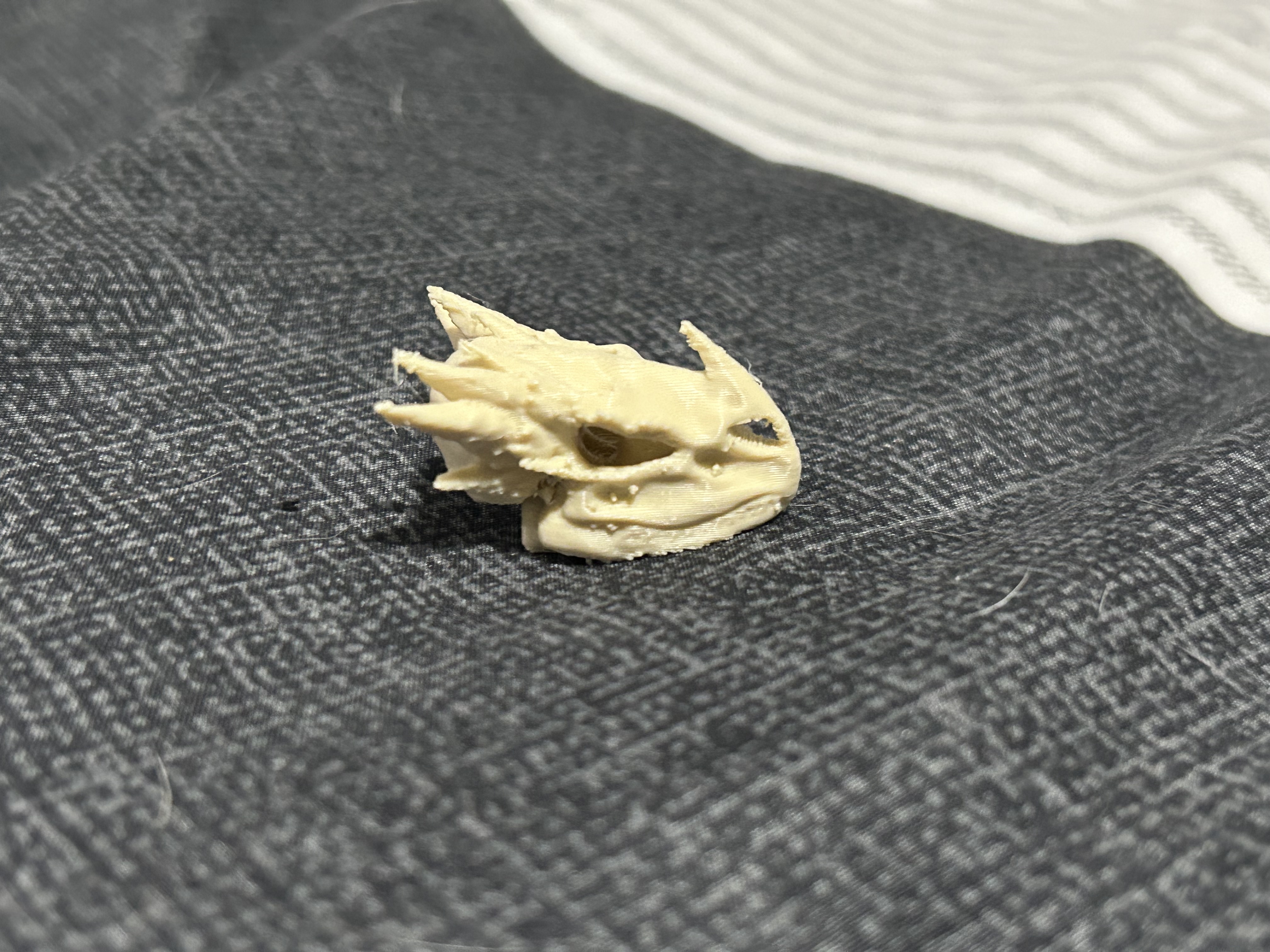 Dummy 13 Dragon Head