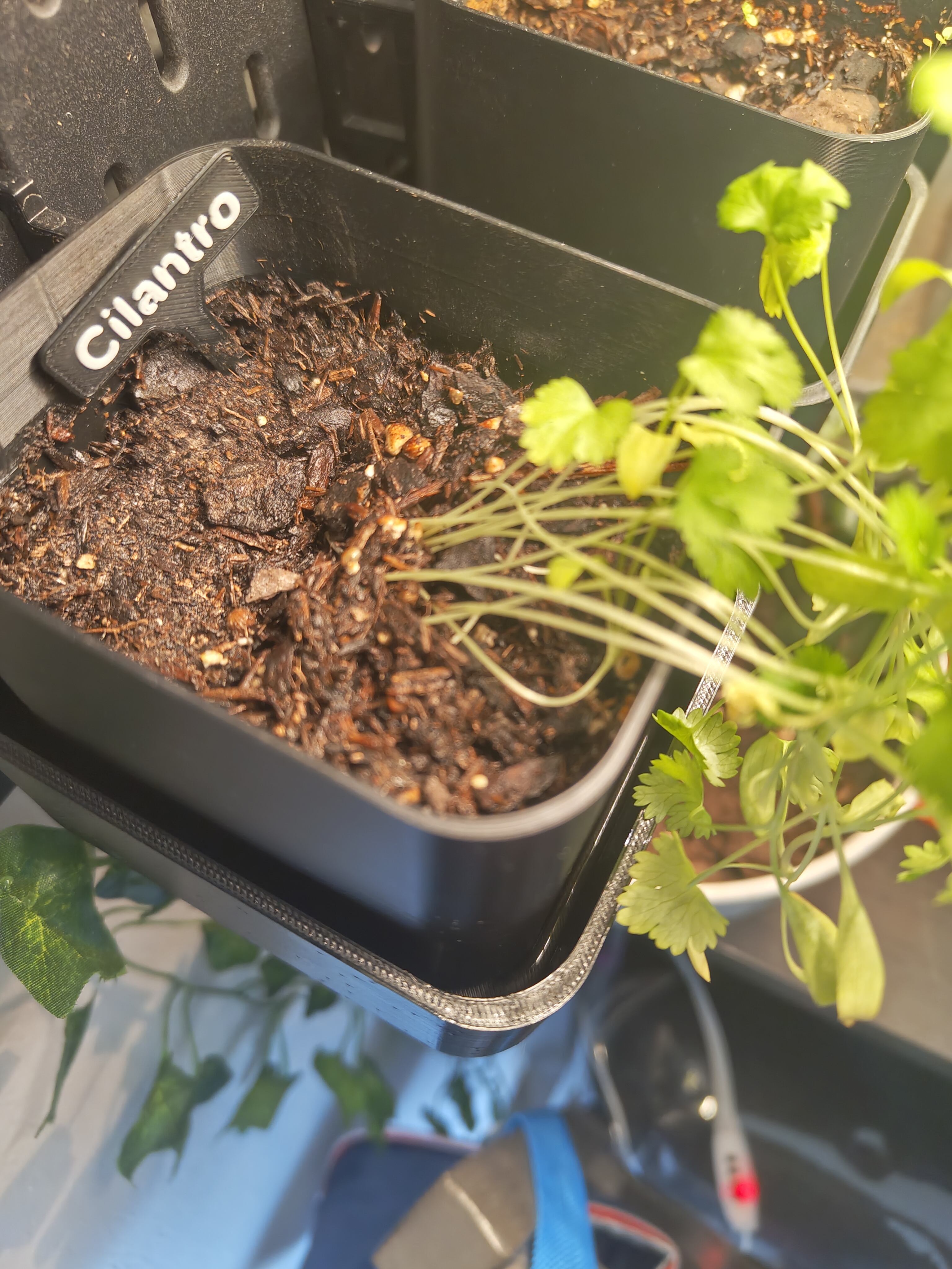 Skadis Plant Box w/ Water Dish 3D model thumbnail