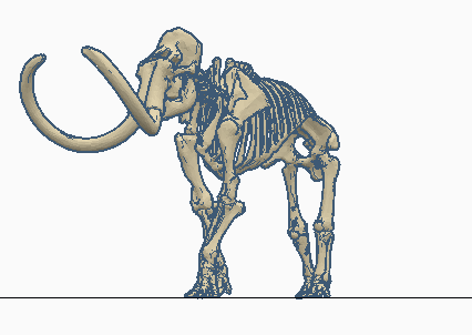 MAMMOTH SKELETON