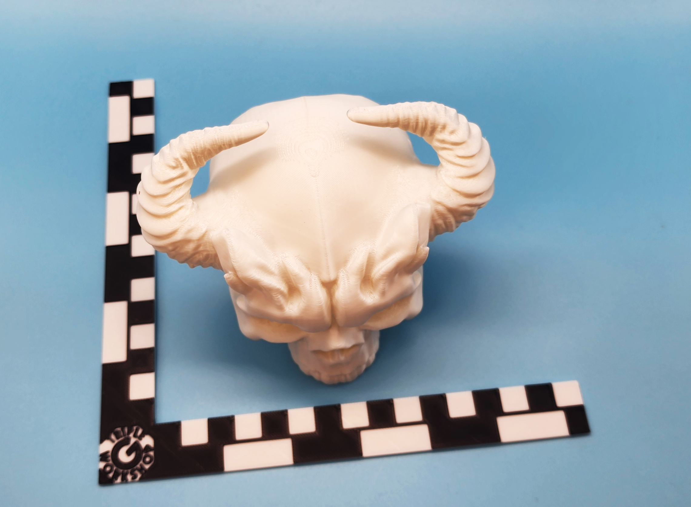 Photo Measurement Bars for MINI 1 Color Change or AMS