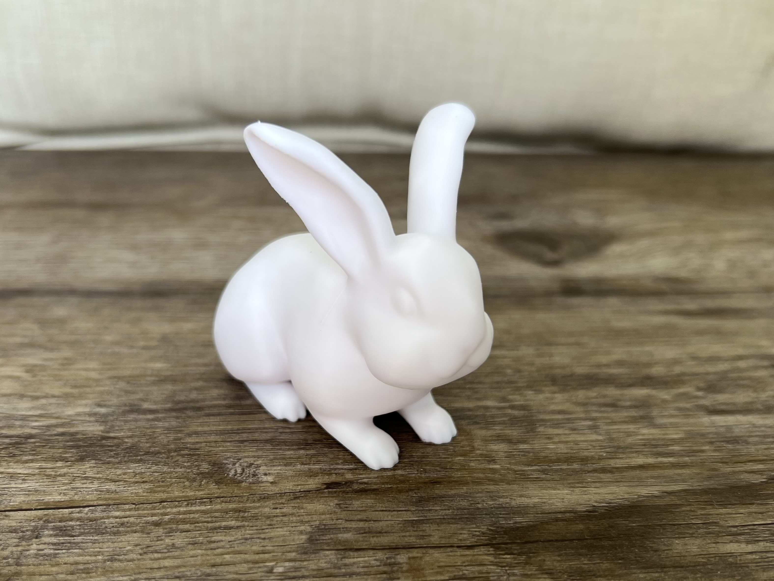 Little Brown Bunny