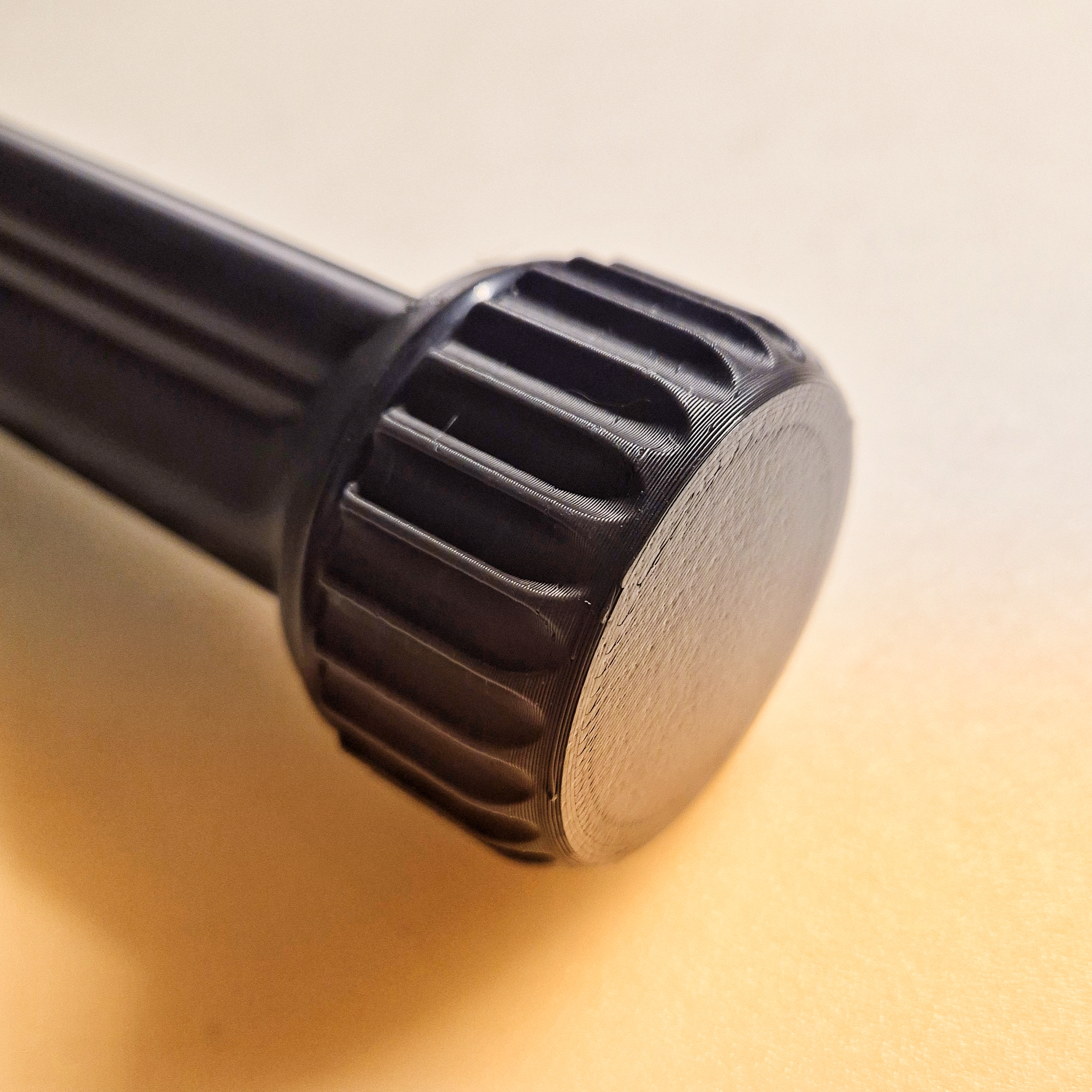 AR 15 BCG case w/ loops