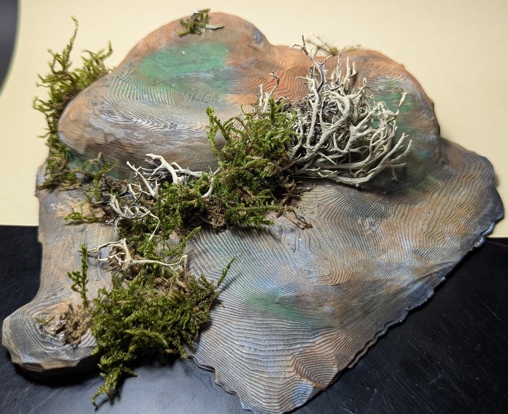 Terrain Collection (DND / TTRPG)